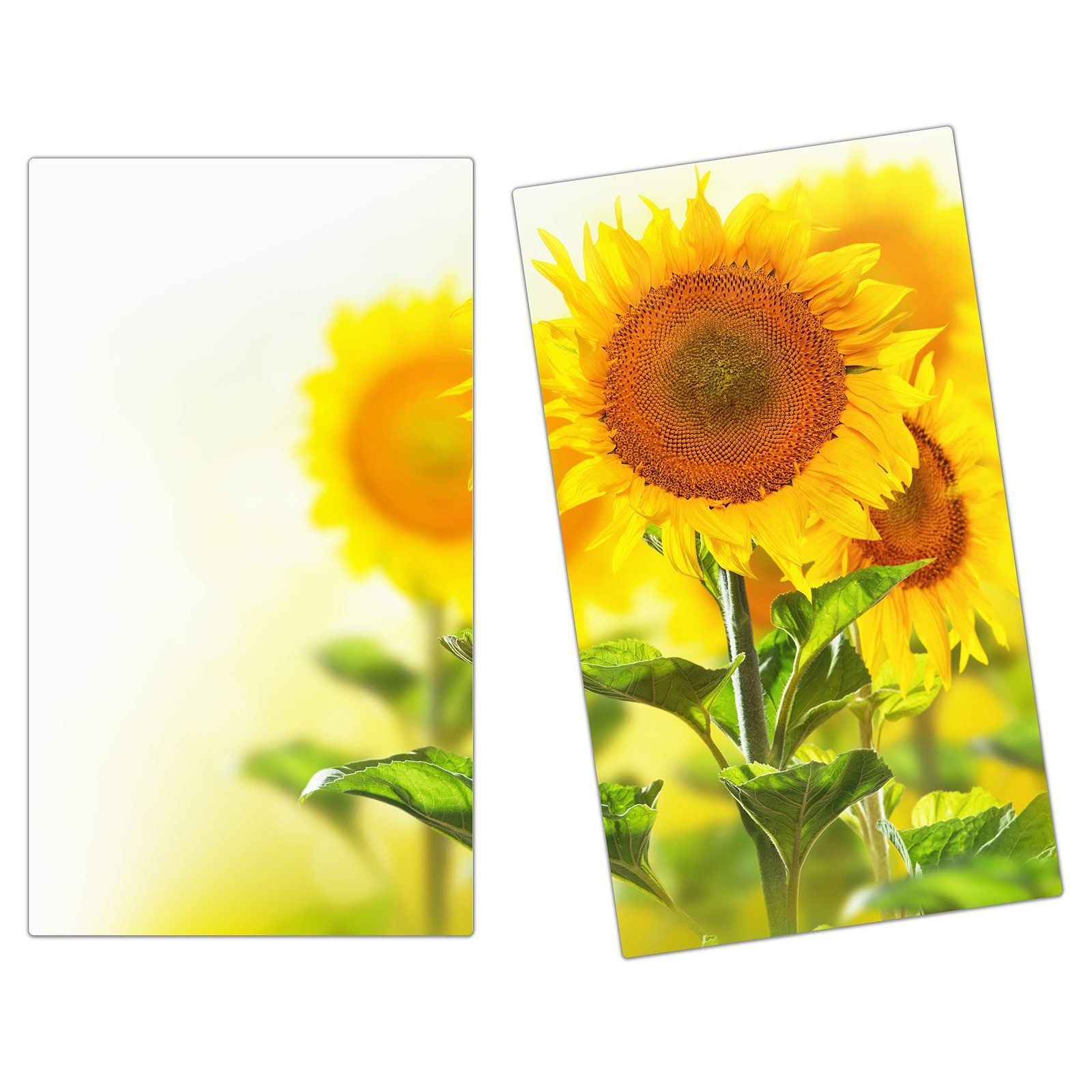 Spritzschutz aus Glas Herd-Abdeckplatte (2 Glas, tlg) Herdabdeckplatte Primedeco Sonnenblumenzweige,