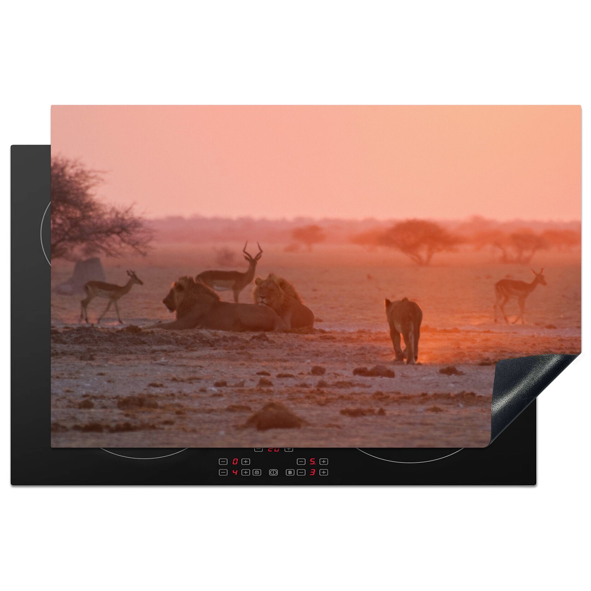 MuchoWow Herdblende-/Abdeckplatte Viele wilde Tiere im Makgadikgadi Pans National Park, Vinyl, (1 tlg), 81x52 cm, Induktionskochfeld Schutz für die küche, Ceranfeldabdeckung