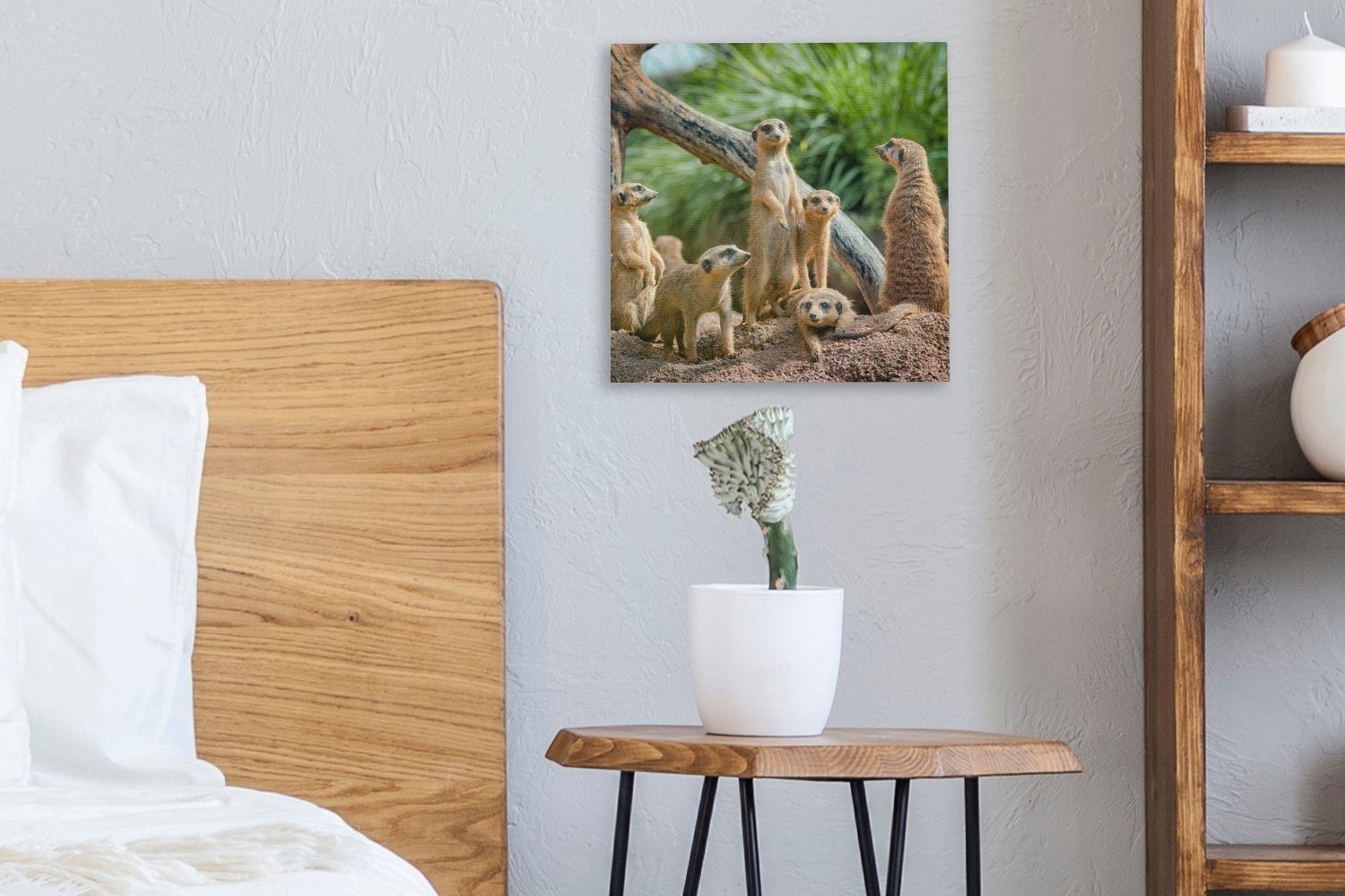 OneMillionCanvasses® Leinwandbild Erdmännchen Schlafzimmer für Familie - - Leinwand (1 St), Wohnzimmer Bilder Tiere