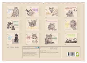 CALVENDO Wandkalender Von Katzen lernen (Premium, hochwertiger DIN A2 Wandkalender 2023, Kunstdruck in Hochglanz)