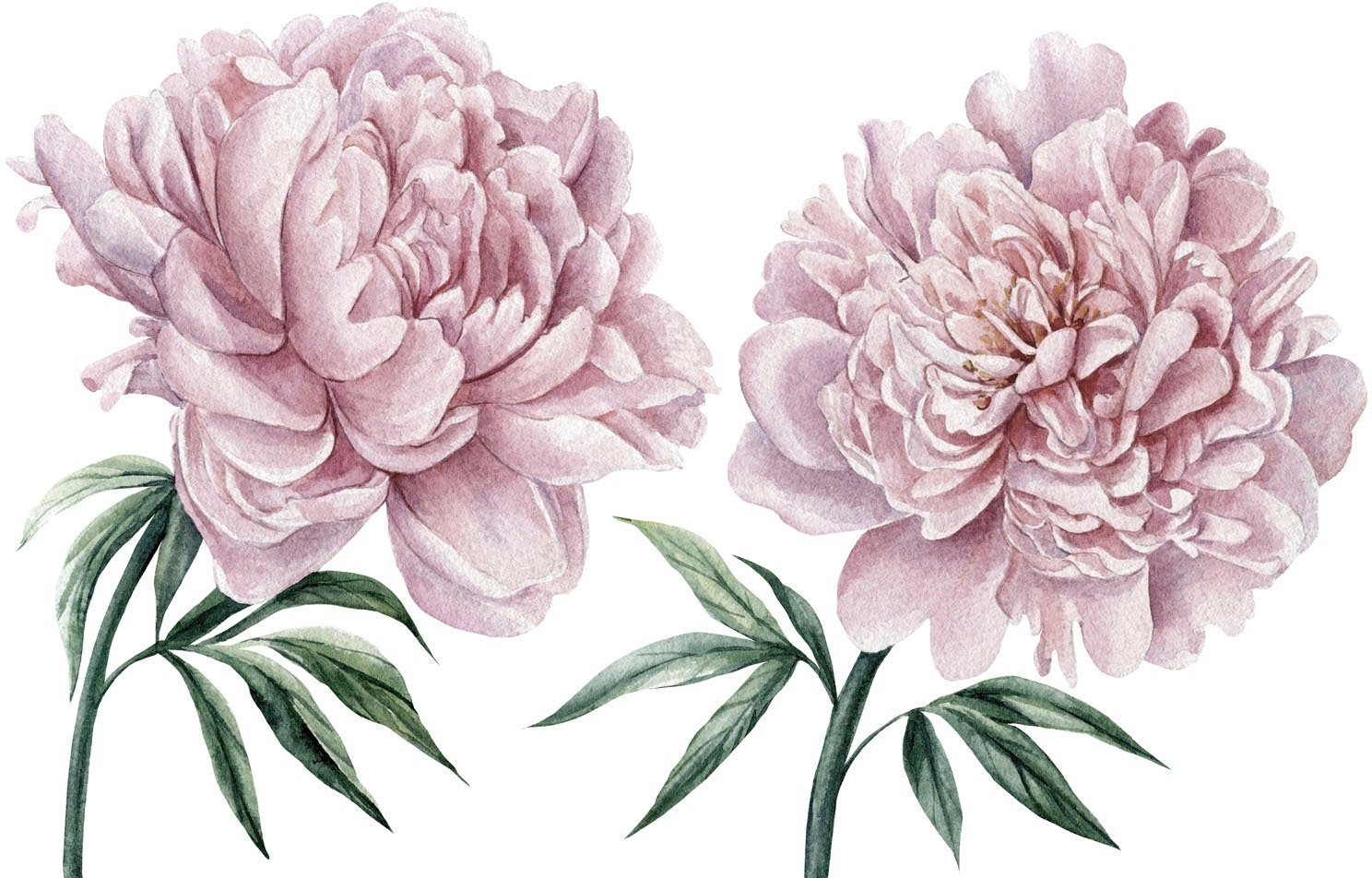queence Wandtattoo Lilly (1 St), Wandbild, Sticker, rosa, Blume, Blüte, selbstklebend, Pastellfarben