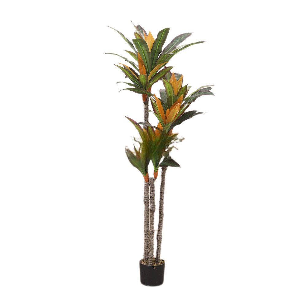 Künstliche Zimmerpflanze Künstliche Dracaena Pflanzen mit günstig online kaufen