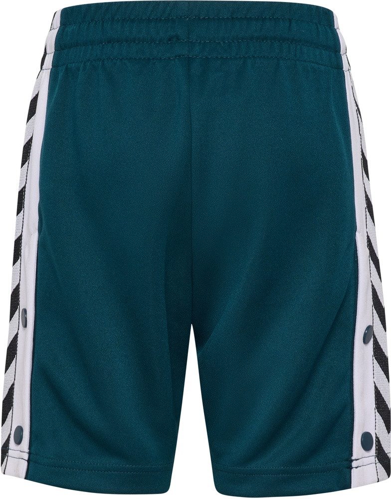 hummel Shorts Chevron Shorts