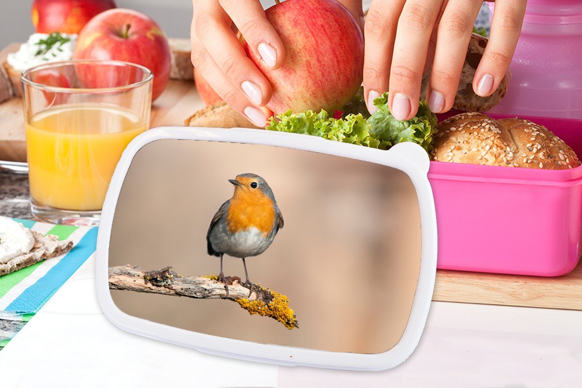 MuchoWow Lunchbox Rotkehlchen - Vogel rosa Brotbox Kunststoff - (2-tlg), - für Tiere, Brotdose Snackbox, Zweig Kunststoff, Kinder, Mädchen, Erwachsene