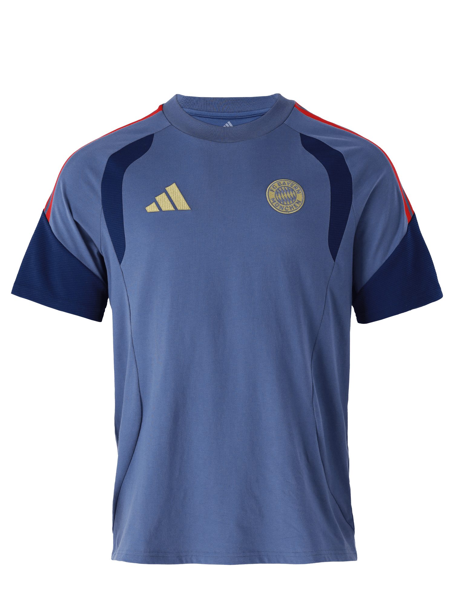 T-Shirt FC Bayern München, T-Shirt Teamline, Herren, Blau