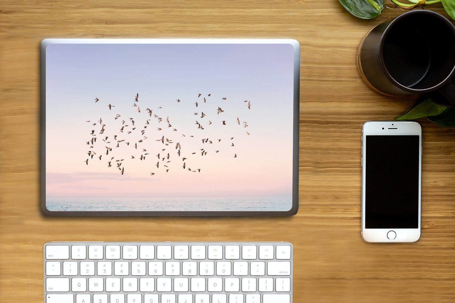Thumbnail - MuchoWow Laptop-Aufkleber Vögel - Meer - Himmel - Natur - Sommer, (1tlg), Laptop Folien Cover, Aufkleber, Sticker, Schut...