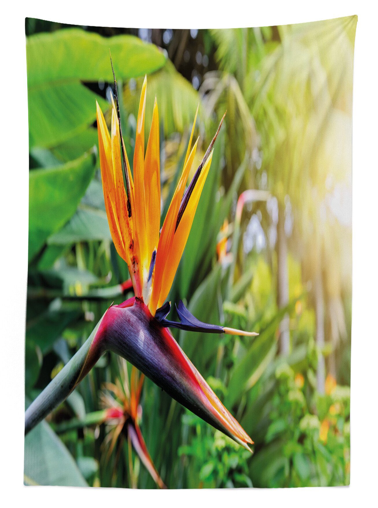 Paradiesvogel Farben, Waschbar Blume den Tischdecke Für Klare Farbfest Abakuhaus Pflanze Bereich Außen geeignet