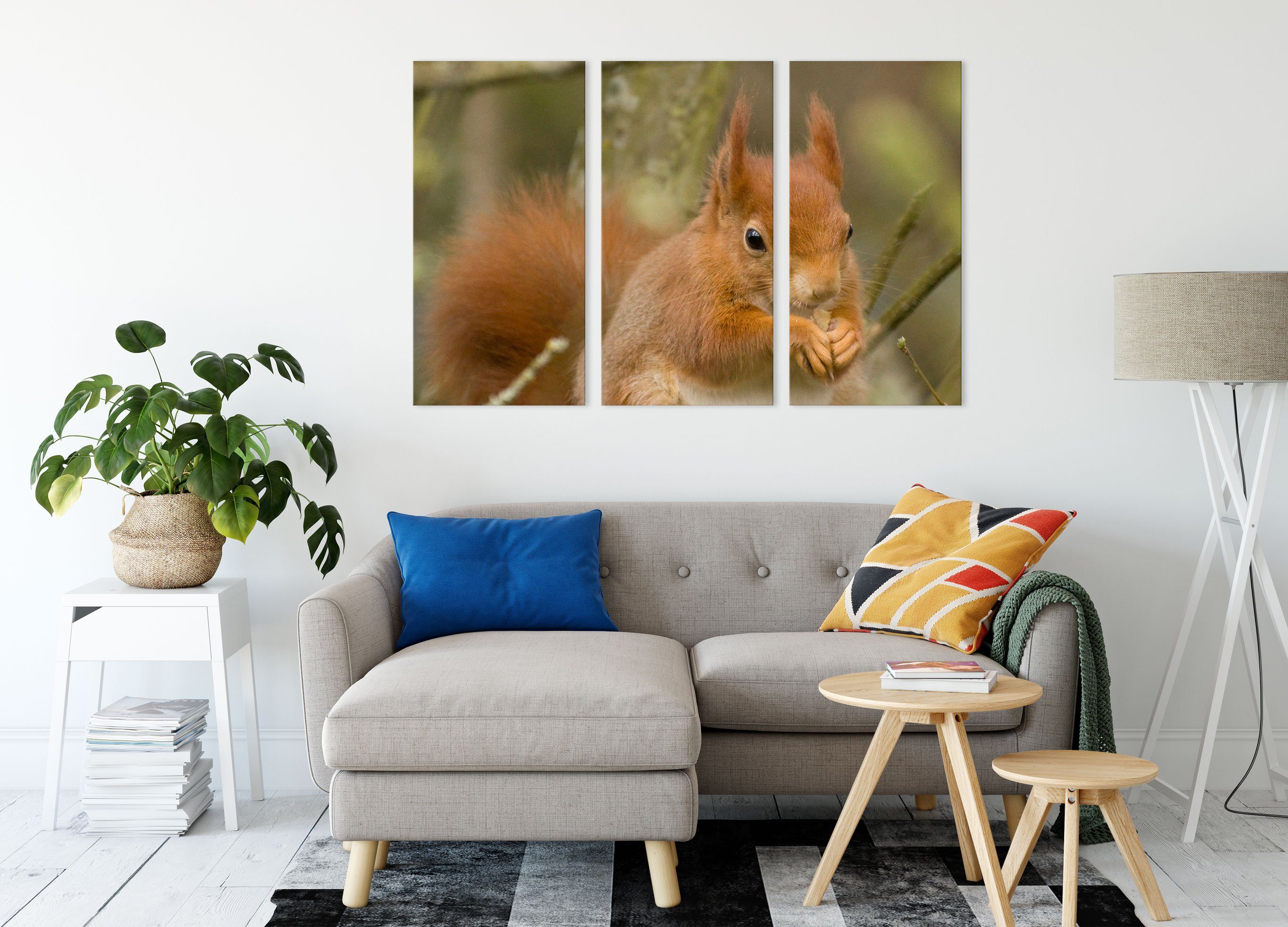 (120x80cm) Kleines bespannt, Pixxprint Kleines Eichhörnchen inkl. St), fertig 3Teiler Zackenaufhänger Leinwandbild Eichhörnchen, (1 Leinwandbild