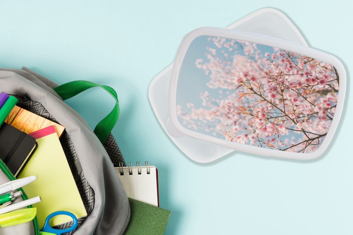 Kinder und Erwachsene, weiß Brotbox Brotdose, Zweige, für und Kunststoff, - Lunchbox Sakura Frühling MuchoWow für - (2-tlg), Mädchen Jungs