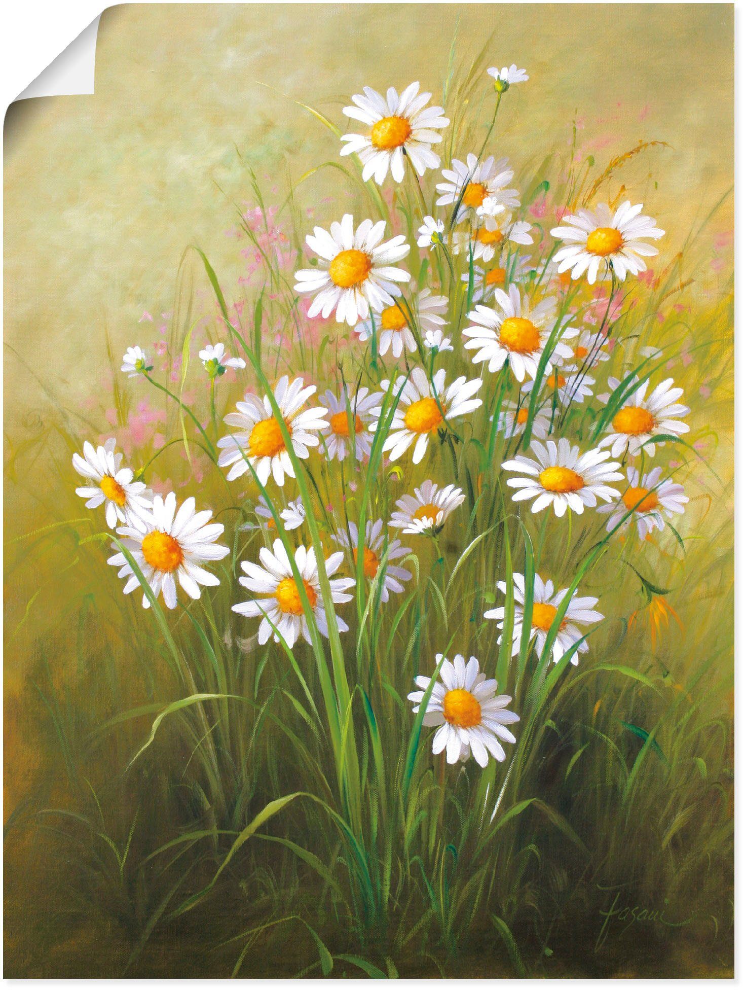Gänseblümchen, Größen Poster Alubild, Leinwandbild, St), Wandbild Blumenbilder (1 als Artland Wandaufkleber Weiße oder in versch.