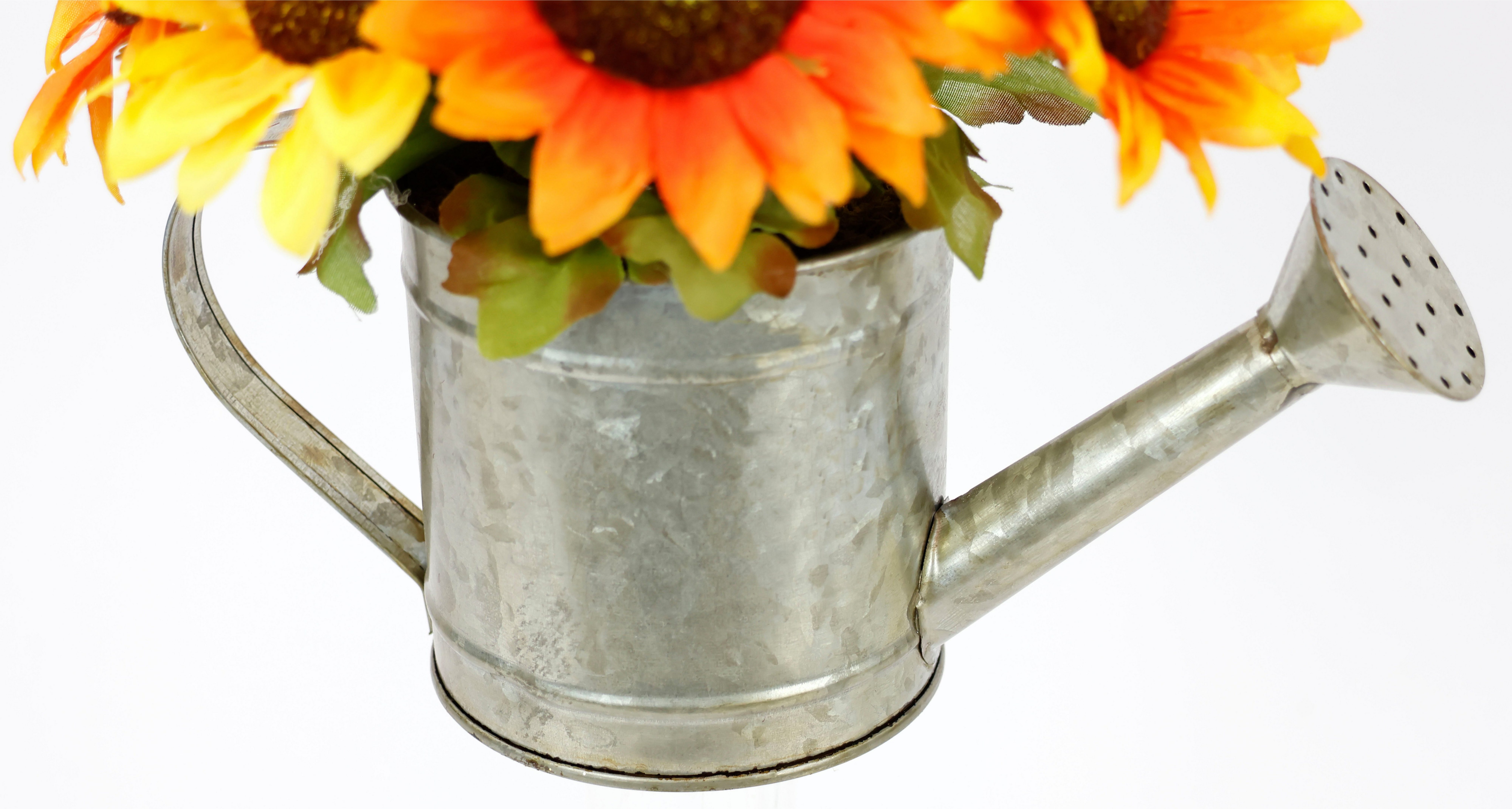 Kunstblume Sonnenblumen in Gießkanne Sonnenblume, I.GE.A., Höhe 21 cm, Herb günstig online kaufen