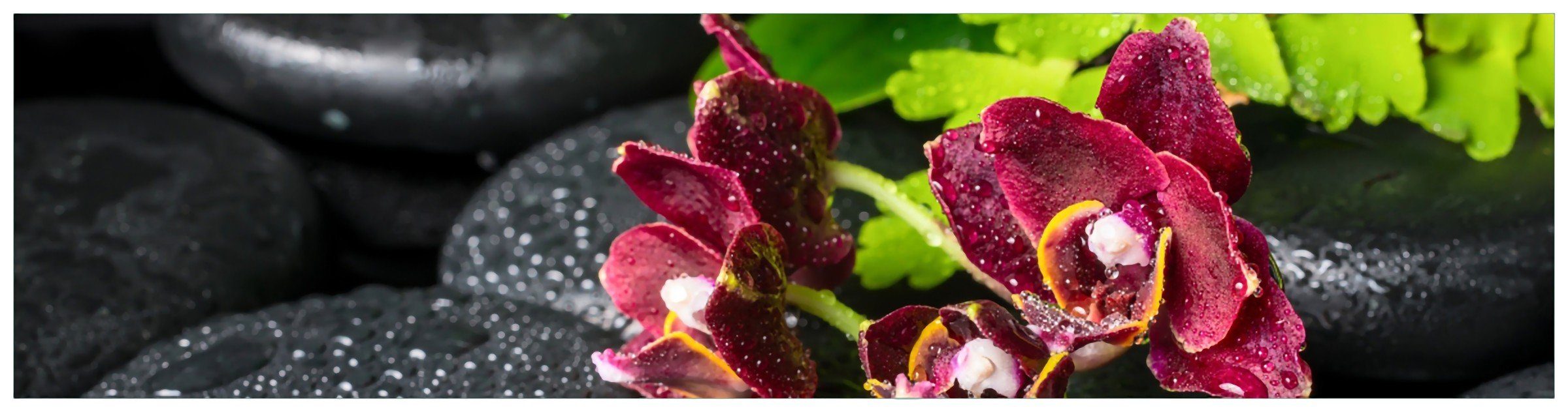 Wallario Küchenrückwand Dunkelrote Orchideen-Blüte auf schwarzen Steinen mit Regentropfen, (1-tlg)