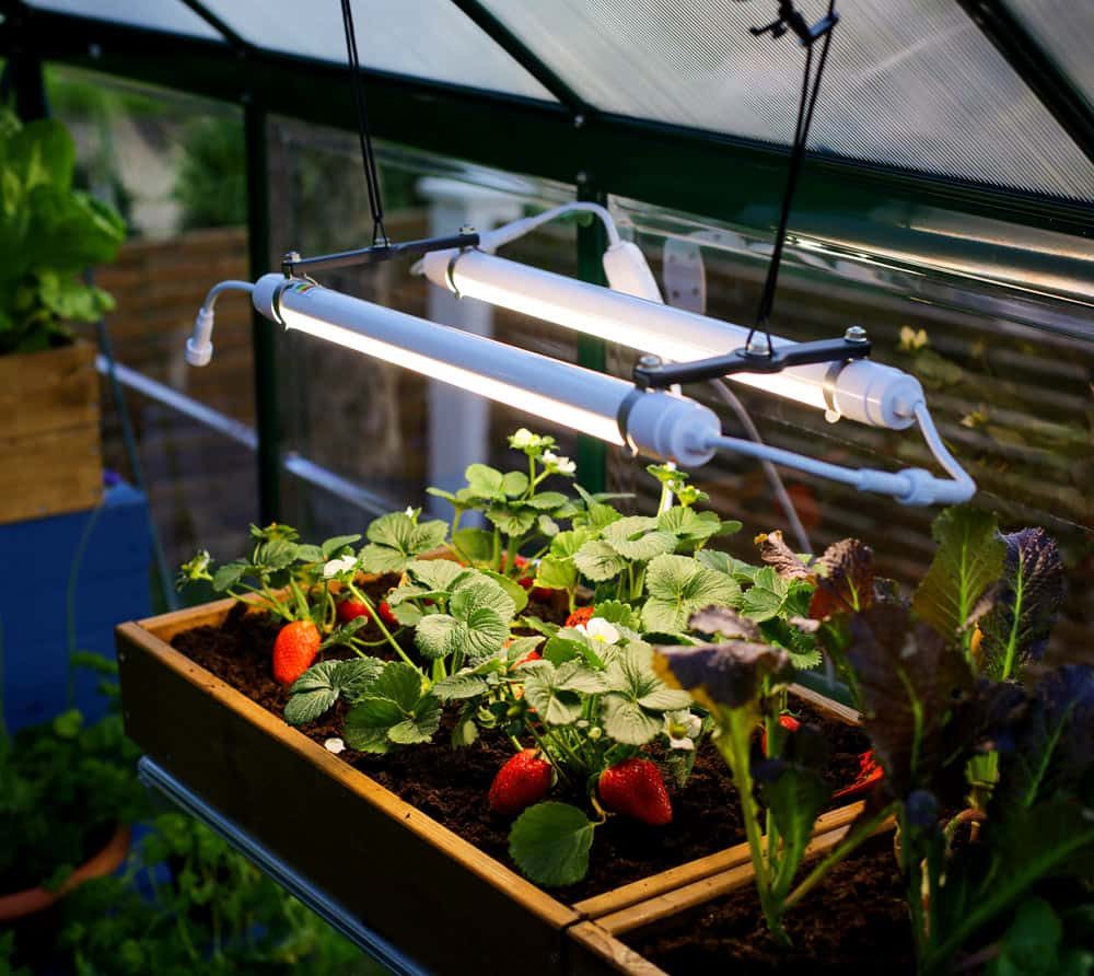 Palram - Canopia Gewächshaus Brighton  ...