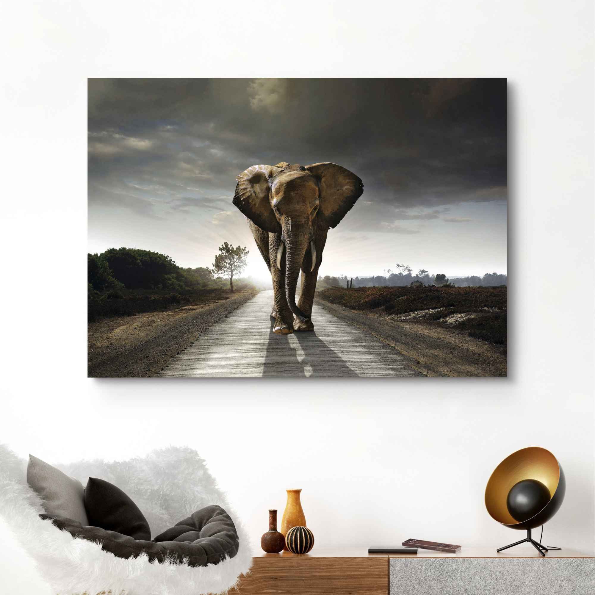 Reinders! Wandbild Tiermotiv Elefantenkönig Natur, (1 St) - - Elefant