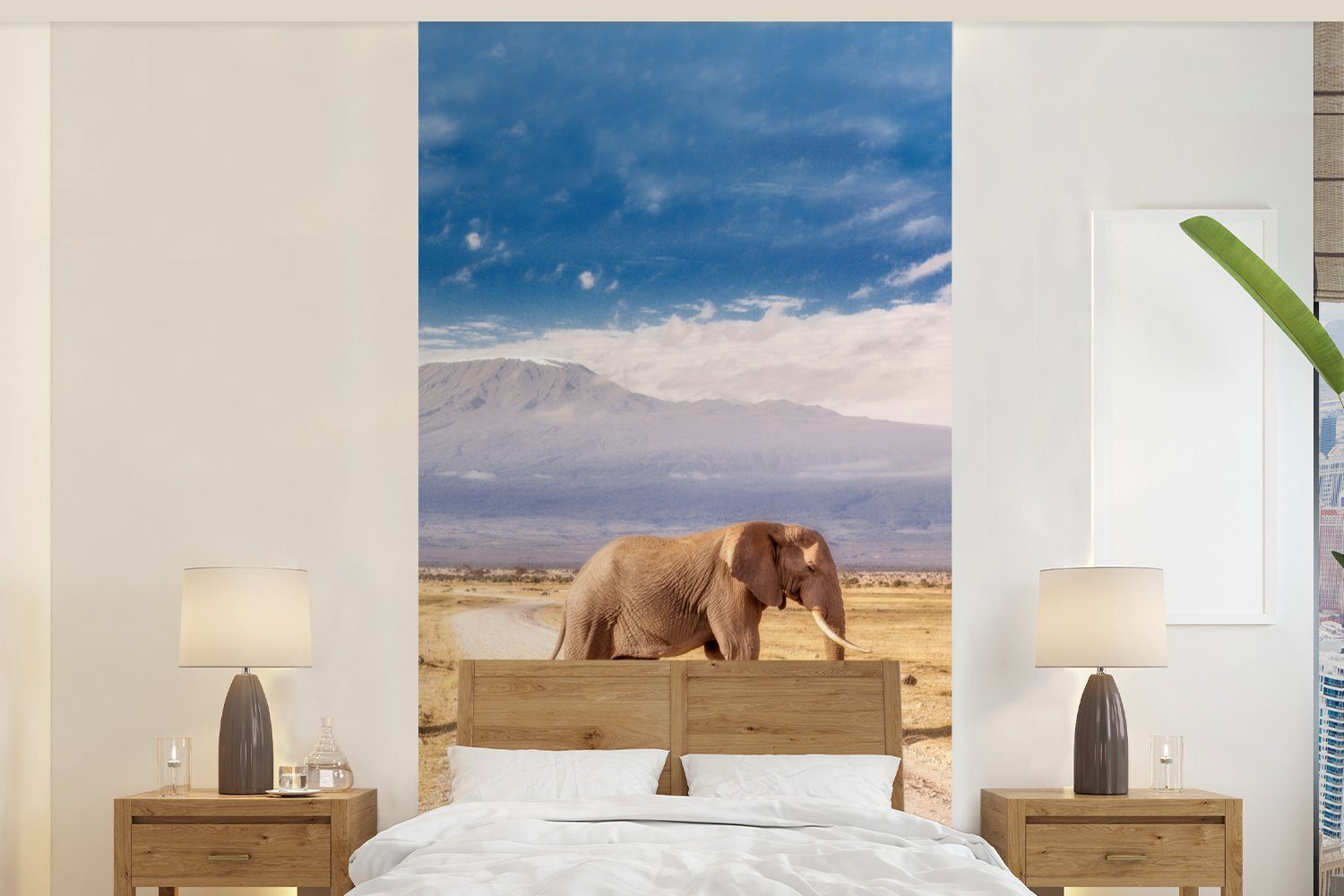 (2 Fototapete Küche, Drei MuchoWow Schlafzimmer bedruckt, für beim Elefanten St), Vliestapete Wohnzimmer Fototapete Matt, Überqueren,