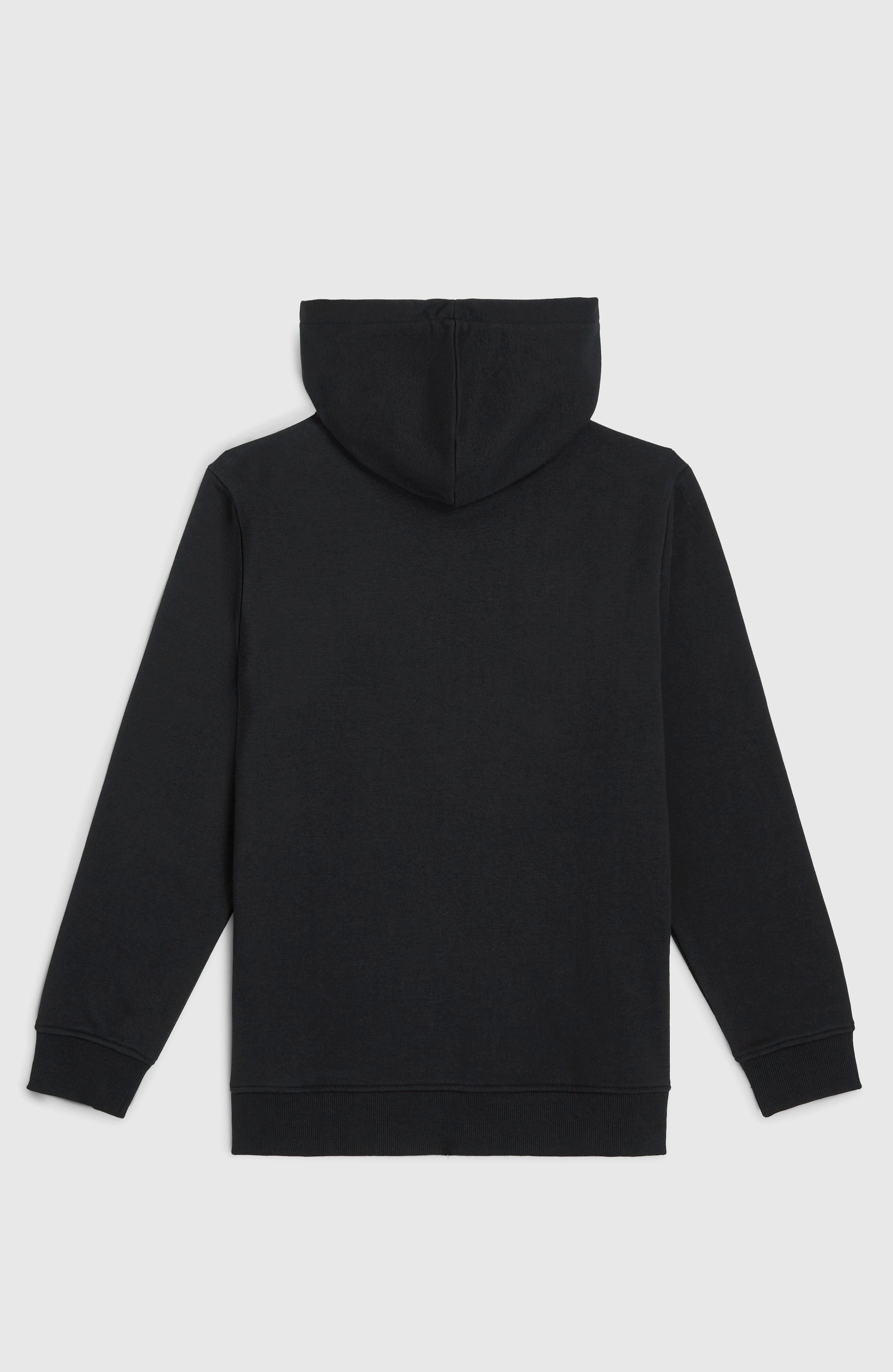 O'Neill Kapuzensweatshirt ESSENTIALS HOODIE mit zweiteiliger Kapuze, halb gebürstete Innenseite