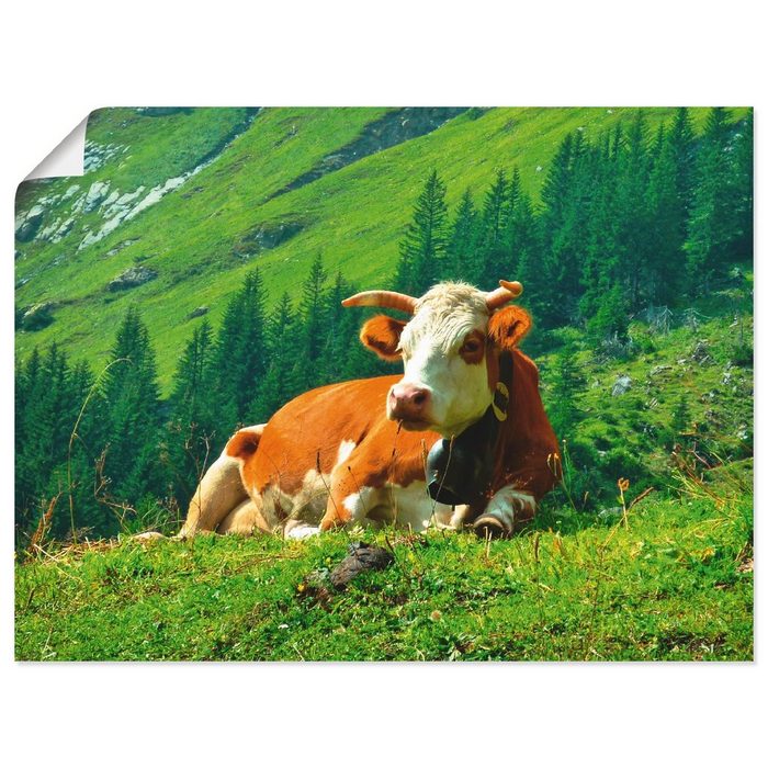 Artland Wandbild Kuh auf der schweizer Alm Haustiere (1 St) als Alubild Leinwandbild Wandaufkleber oder Poster in versch. Größen