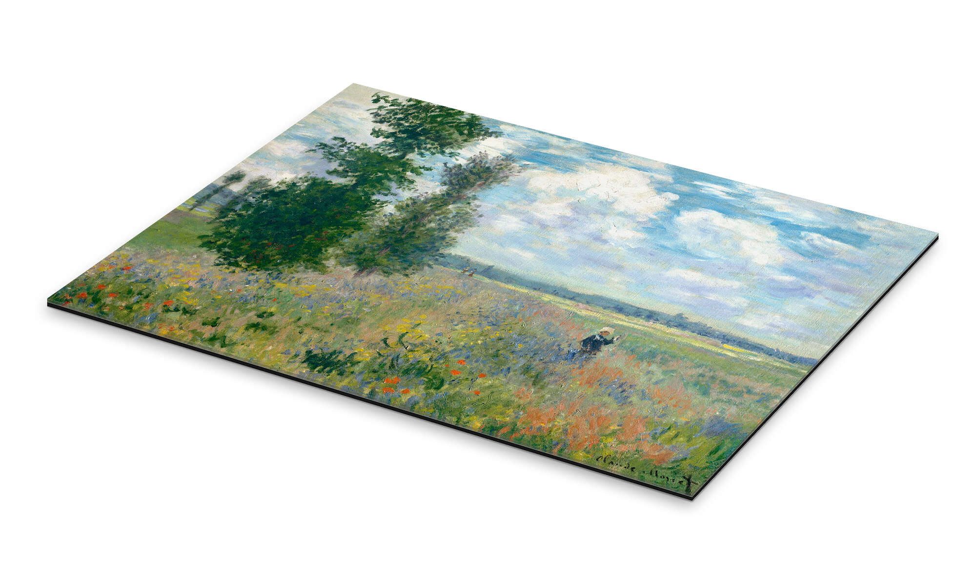 Posterlounge Wandbild Mohnfelder in der Nähe günstig online kaufen