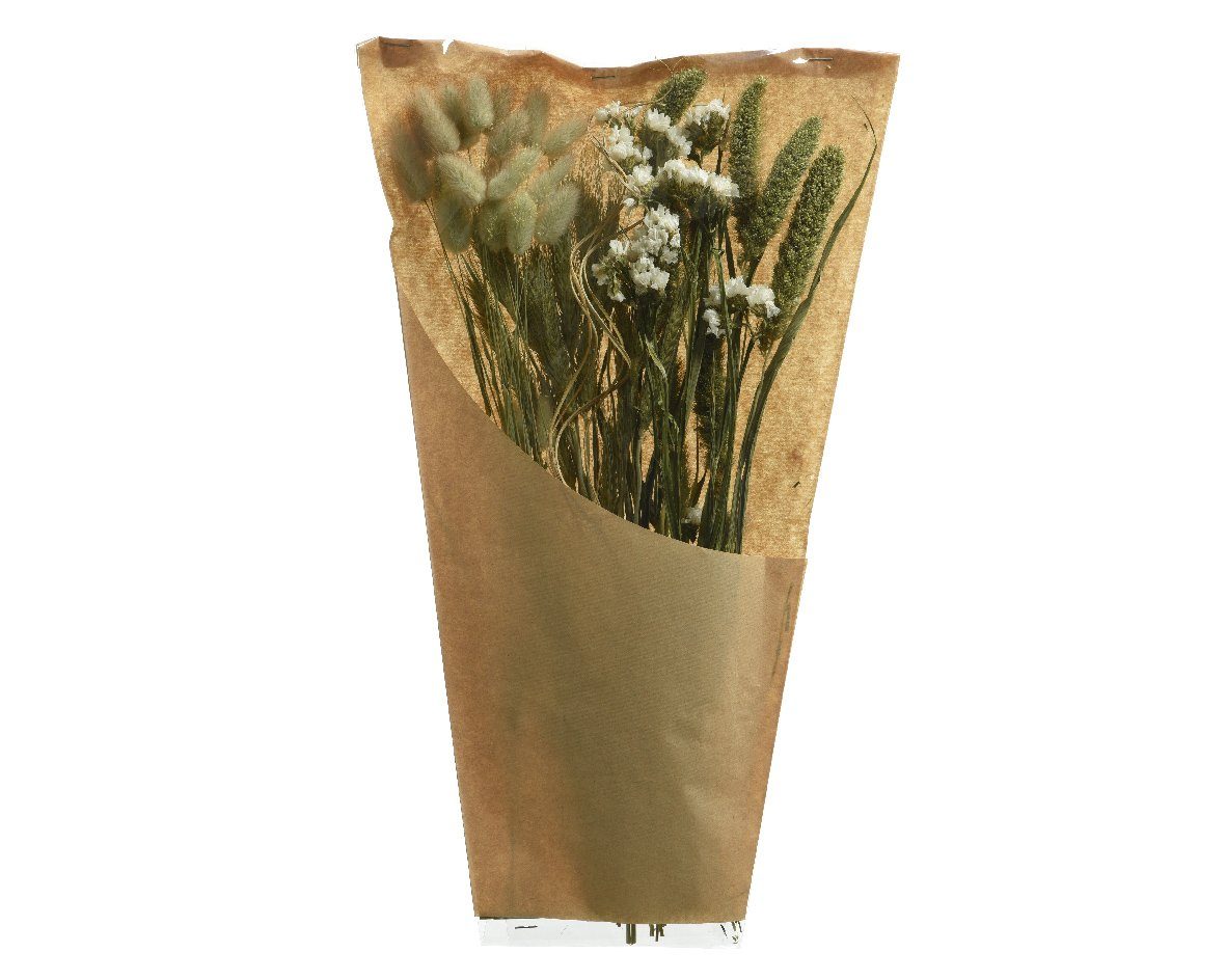 Trockenblume, Decoris season decorations, Trockenblumen Strauß günstig online kaufen