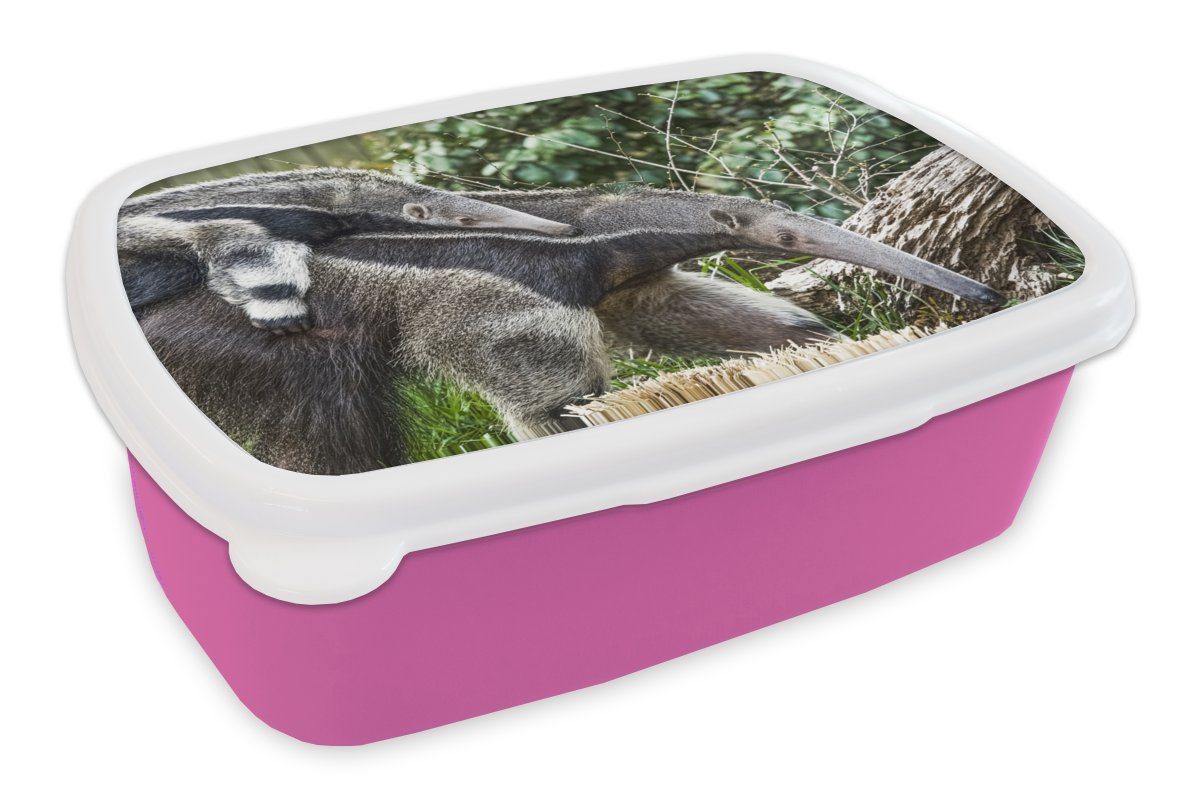 rosa Kunststoff, Kinder, für Mädchen, Kunststoff Snackbox, - Ameisenbär MuchoWow (2-tlg), Tier, - Brotdose Pflanze Lunchbox Brotbox Erwachsene,