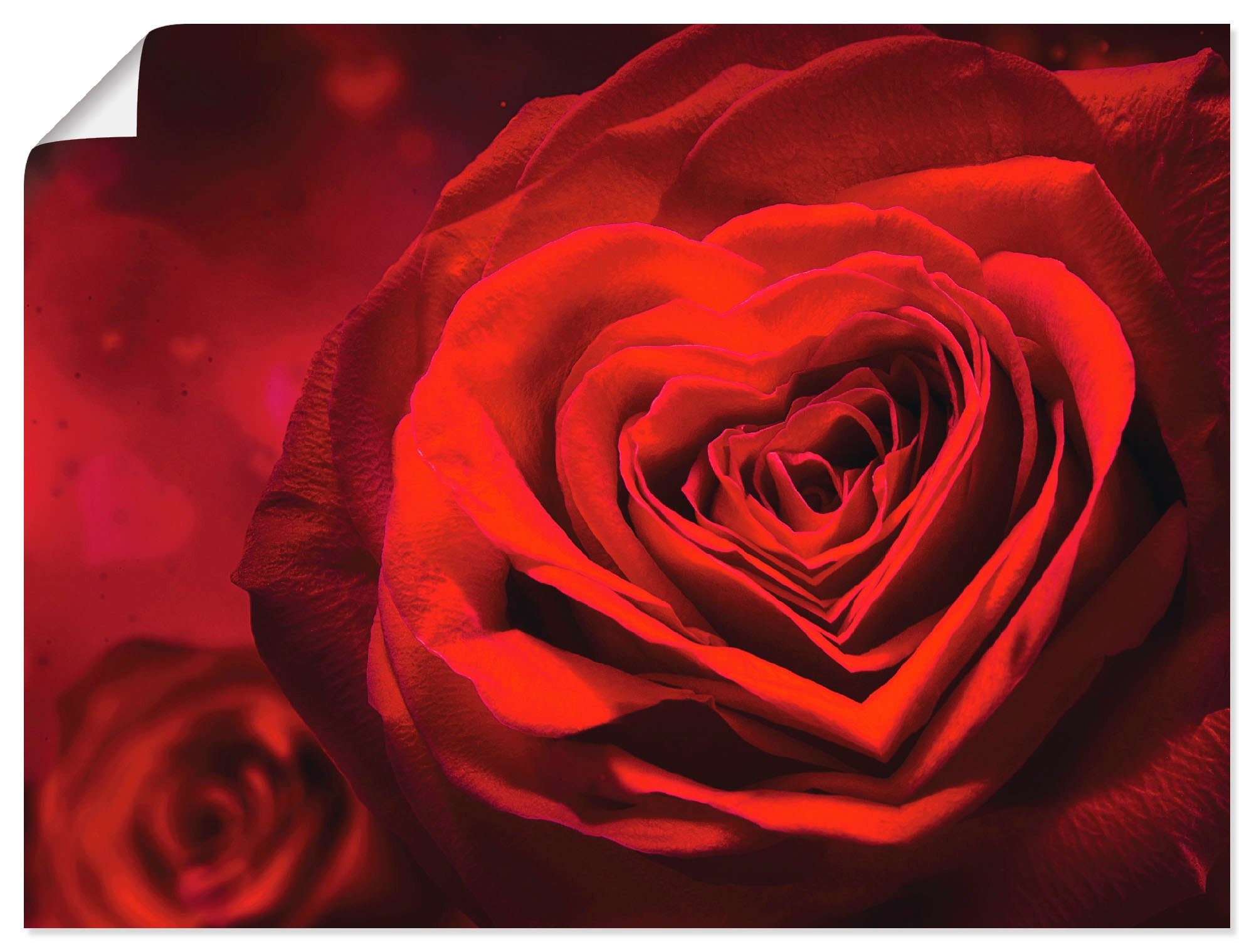 Artland Wandbild Valentinseinladung mit Herzen und Rosen, Blumen (1 St), als Alubild, Leinwandbild, Wandaufkleber oder Poster in versch. Größen