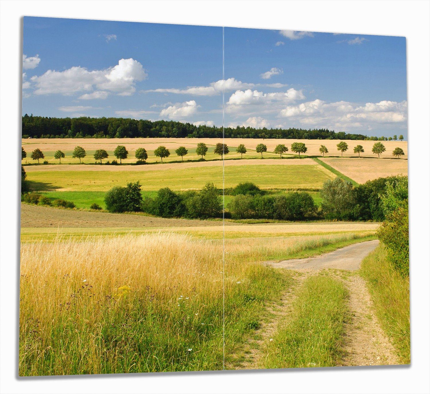 Wallario Herd-Abdeckplatte Feldlandschaft unter blauem Himmel, ESG-Sicherheitsglas, (Glasplatte, 2 tlg., inkl. 5mm Noppen), verschiedene Größen