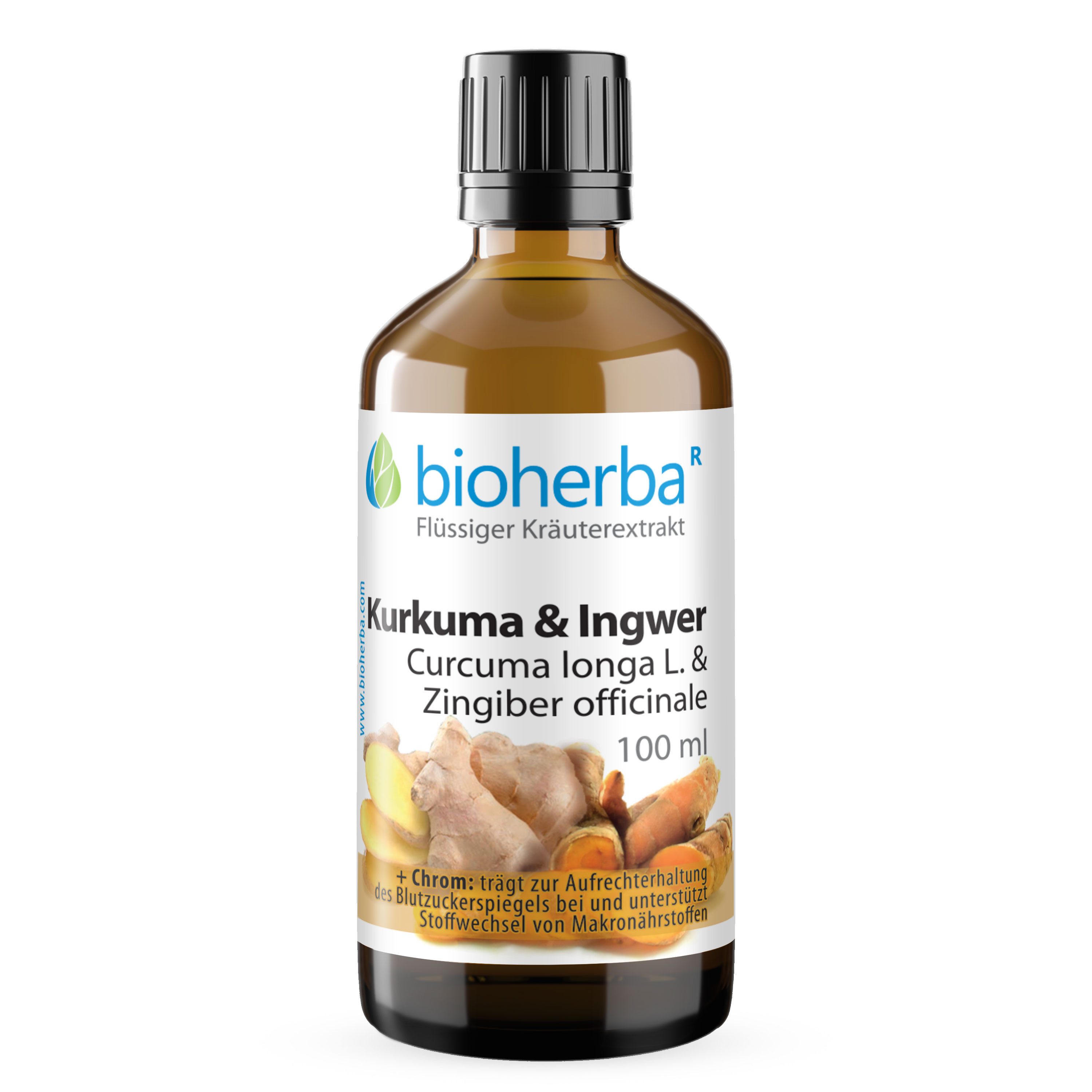 BIOHERBA R Bioherba Kurkuma & Ingwer Tropfen Tinktur 100 ml Glasflasche, 1 er