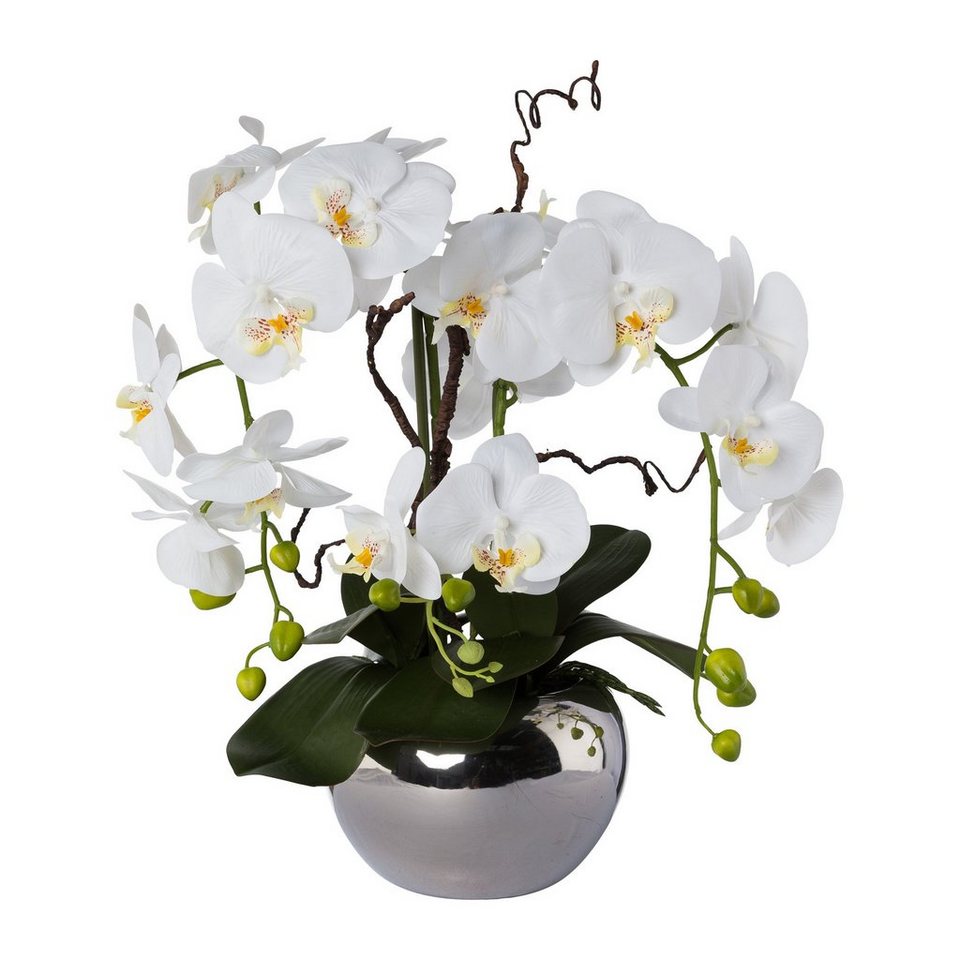 Kunstblume Kunstorchidee Phalaenopsis, Creativ green, Höhe 55 cm, im  Keramiktopf, Creativ green