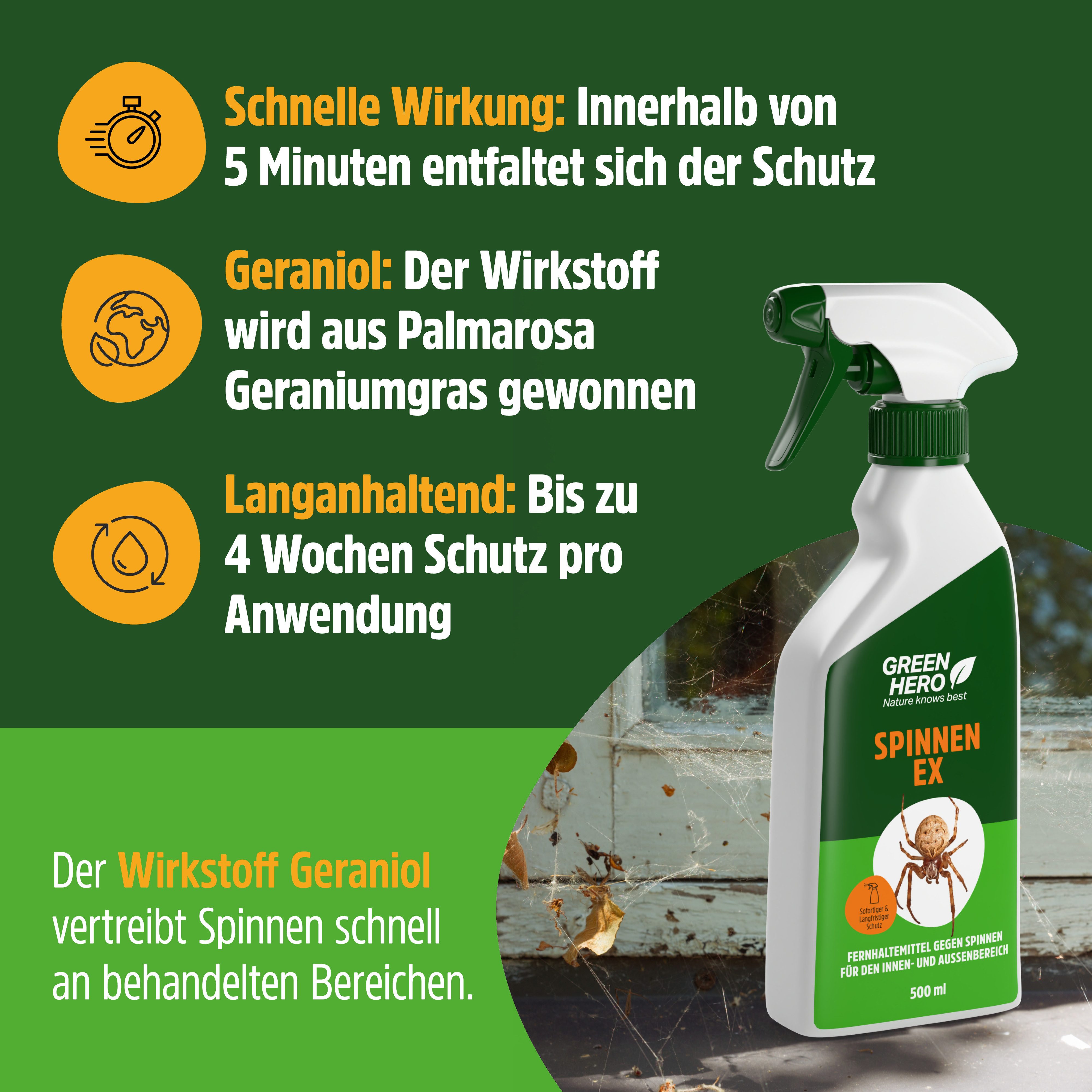 GreenHero Vergrämungsmittel Spinnen-Ex Spray zur Spinnenbekämpfung, 500 ml – Bild 2 von 5