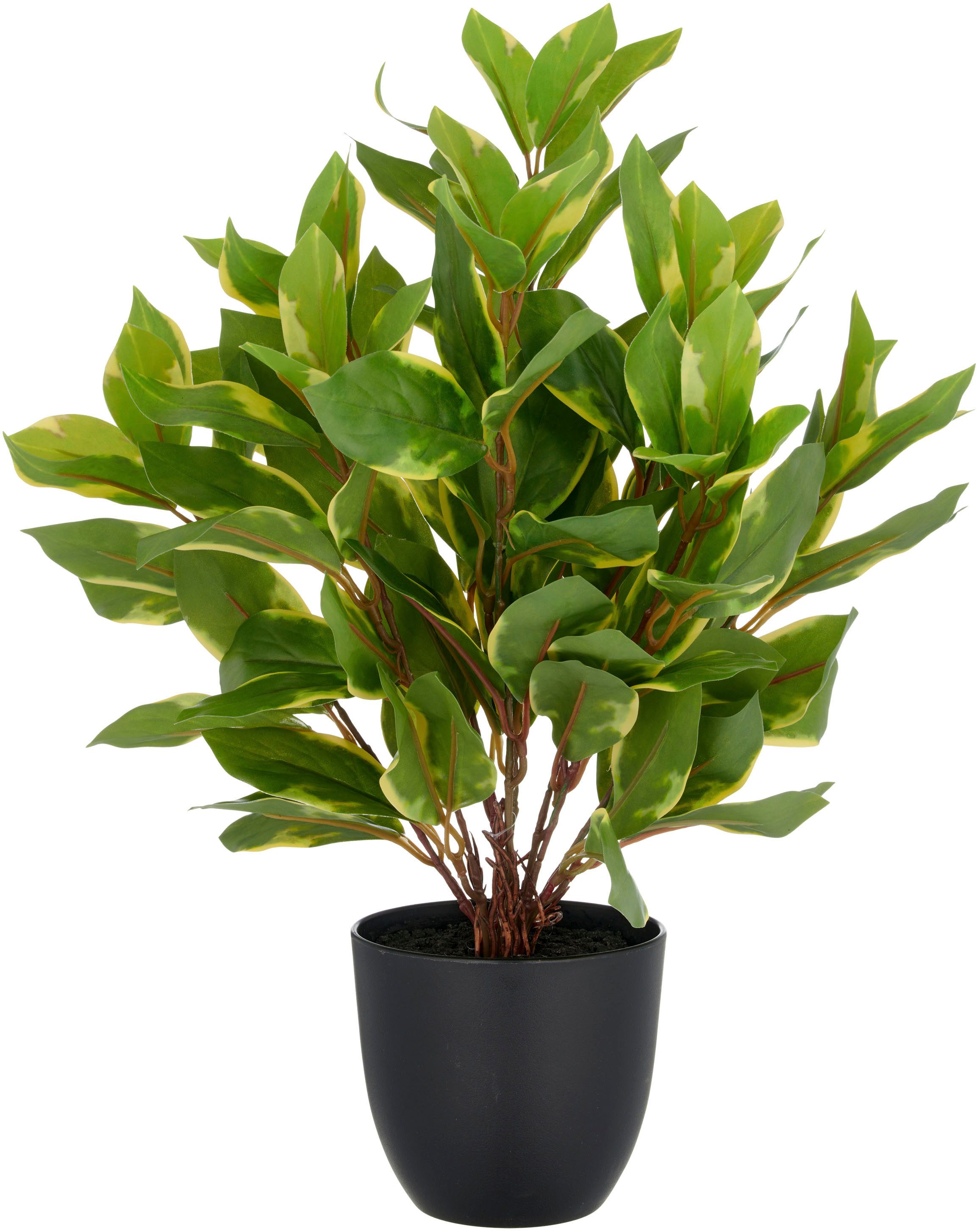 Kunstpflanze Epipremnum aureum, Creativ green, Höhe günstig online kaufen