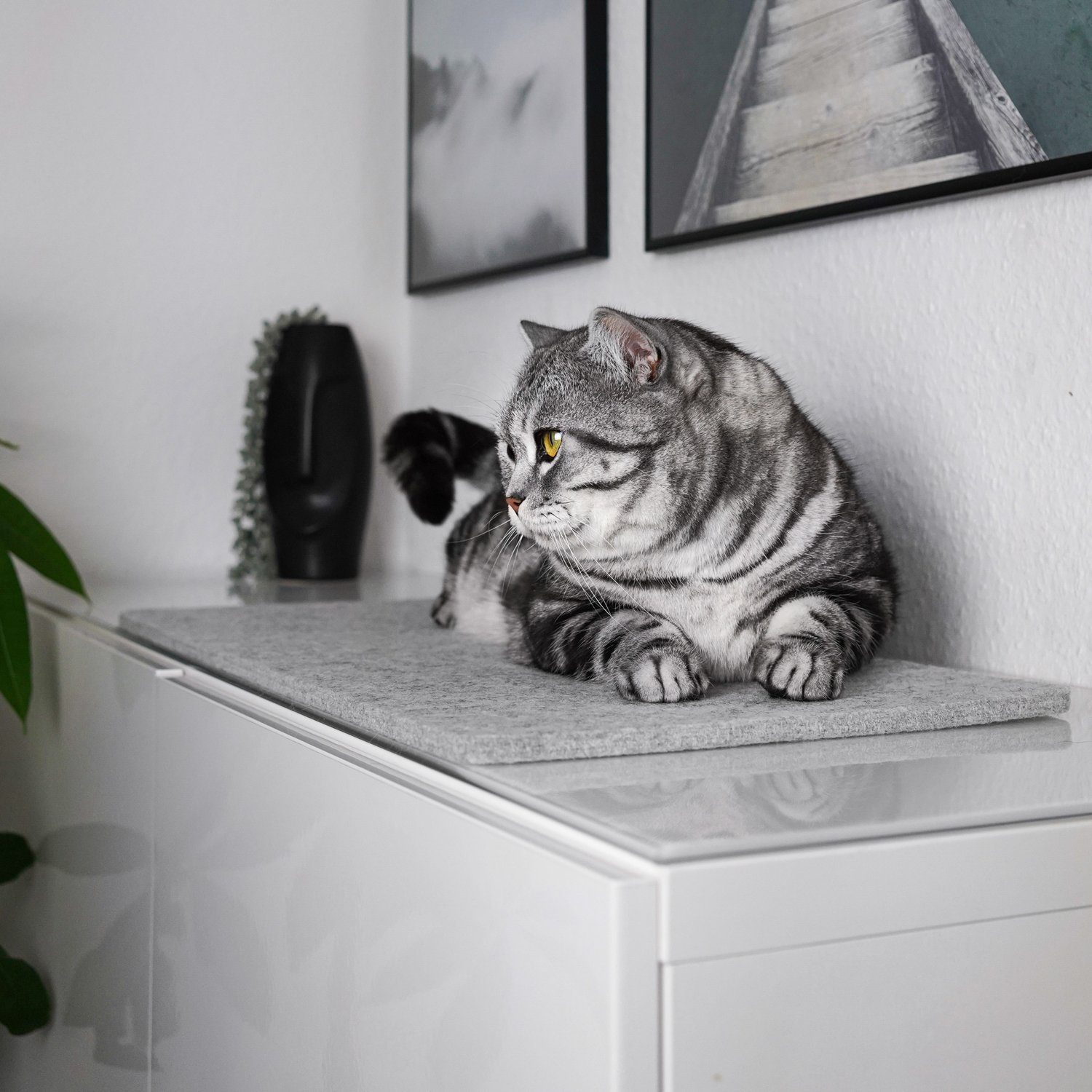 LucyBalu Katzenliege Katzen Fensterbrettauflage aus Wollfilz, Katzen Liegematte Fensterbank