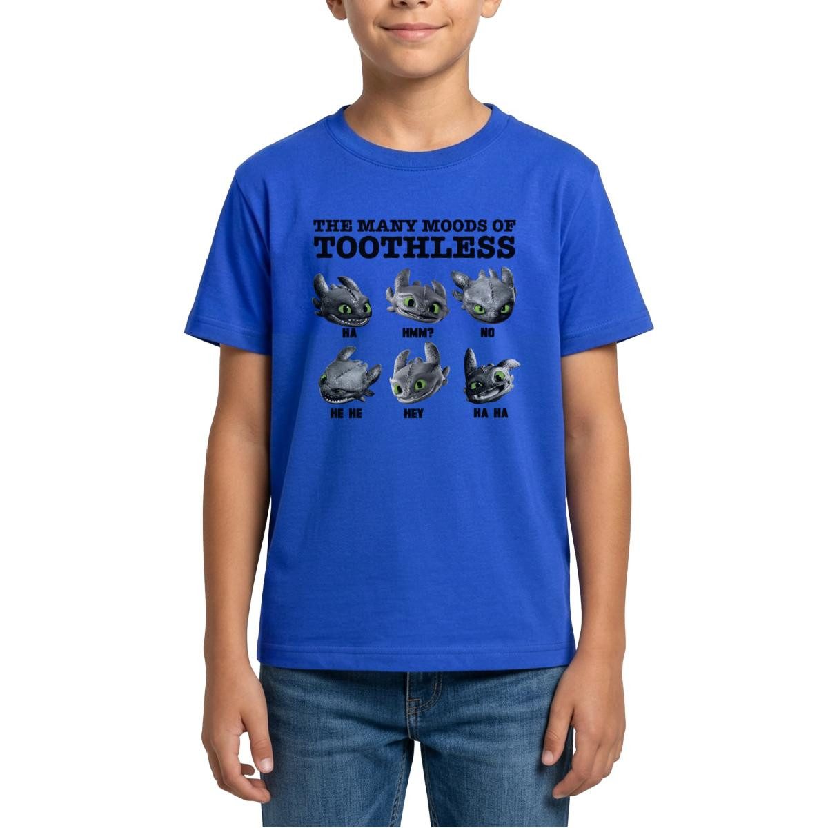 T-Shirt Drachenzähmen Leicht Gemacht Ohnezahns Stimmungen Teenager T-Shirt