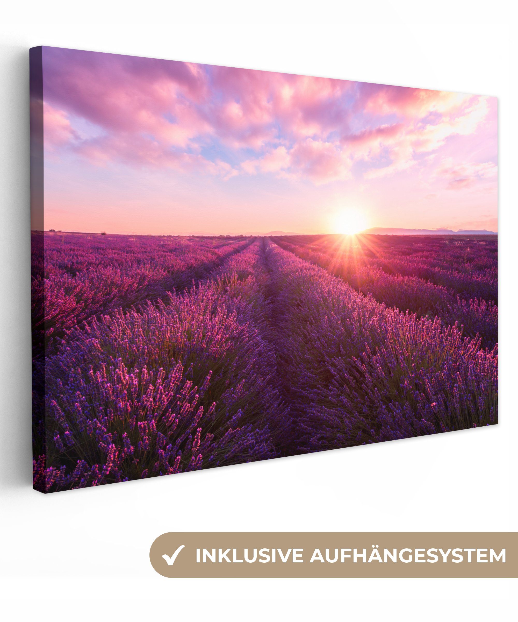 OneMillionCanvasses® Leinwandbild Lavendel - Blumen - Frankreich, Fotodruck günstig online kaufen