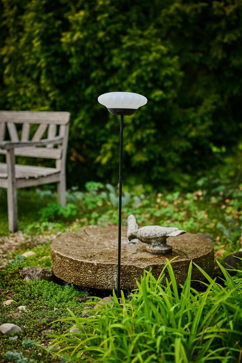 lumix LED Solarleuchte LUMIX Solar Flower günstig online kaufen
