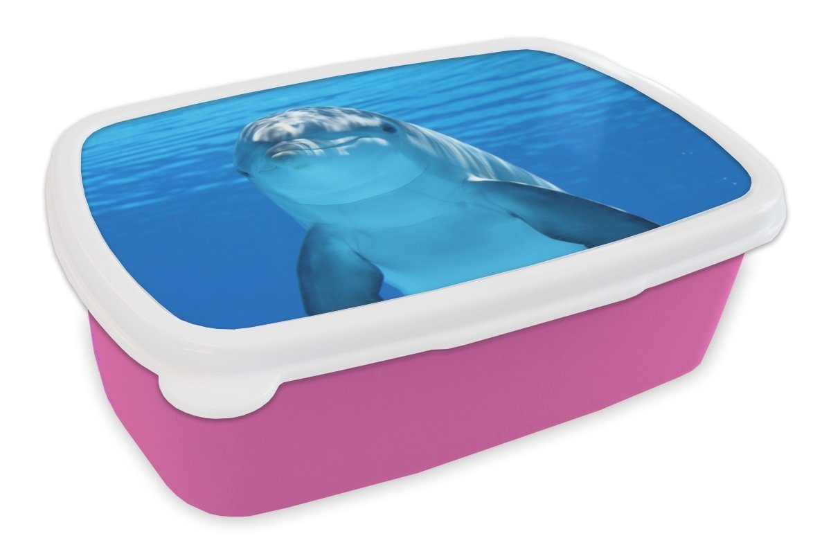 MuchoWow Lunchbox Delfin - Wasser - Blau, Kunststoff, (2-tlg), Brotbox für Erwachsene, Brotdose Kinder, Snackbox, Mädchen, Kunststoff rosa