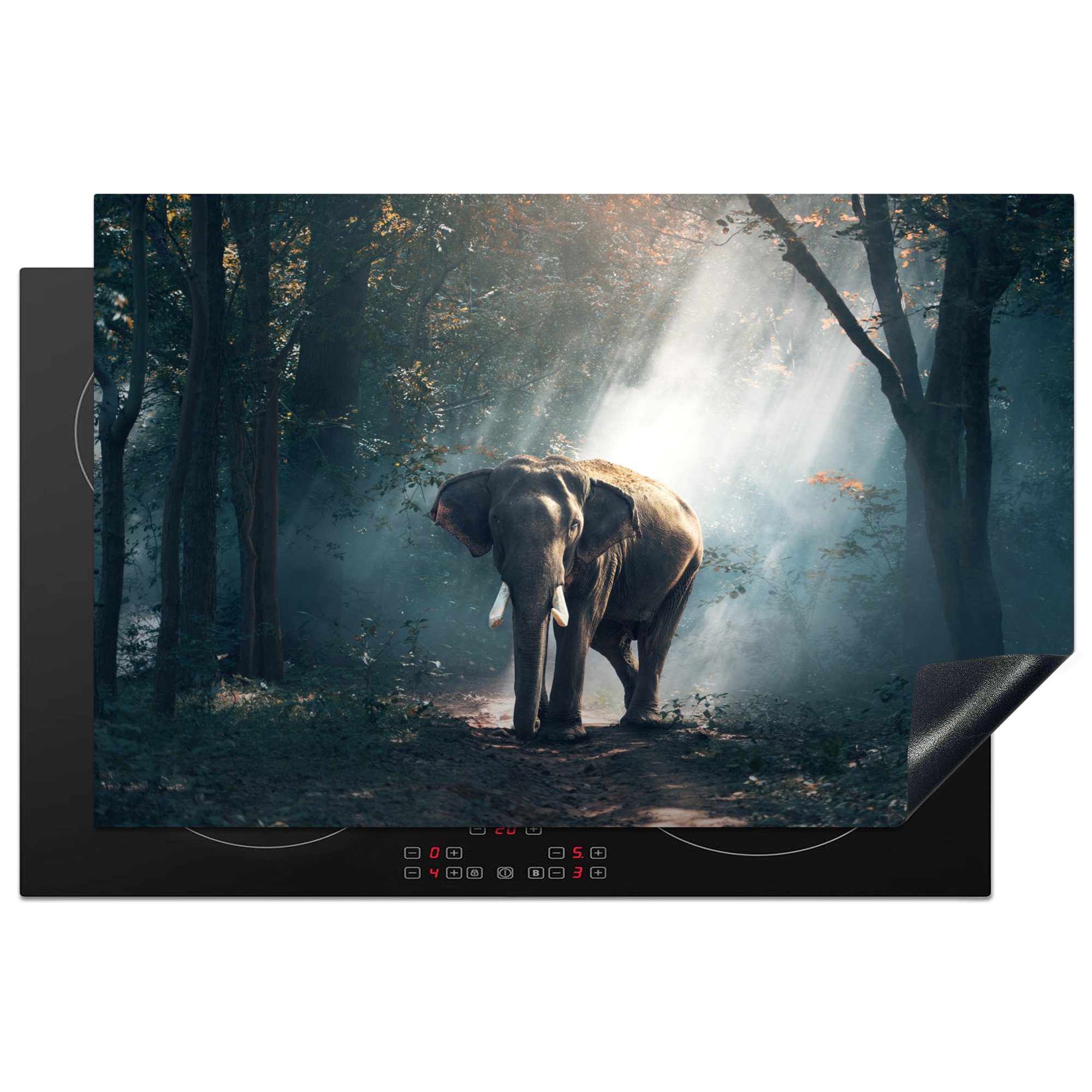 MuchoWow Herdblende-/Abdeckplatte Elefant - Wald - Sonne, Vinyl, (1 tlg), 81x52 cm, Induktionskochfeld Schutz für die küche, Ceranfeldabdeckung