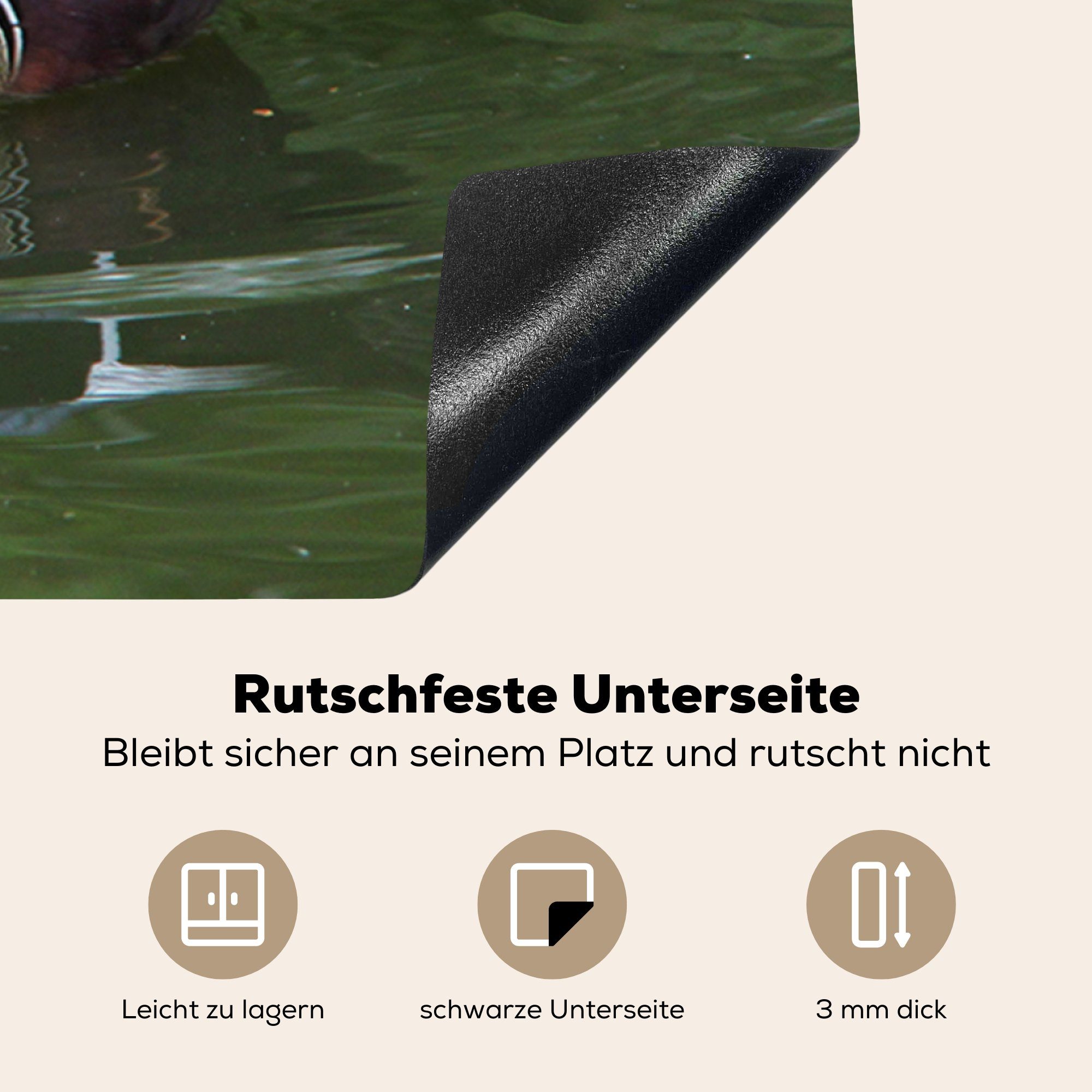 MuchoWow Herdblende-/Abdeckplatte Ente - Wasser Arbeitsplatte tlg), - für Ceranfeldabdeckung, küche Schwimmen, (1 cm, Vinyl, 78x78