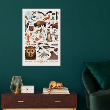 Posterlounge Poster Dieter Braun, Nordamerikanische Tierwelt, Kindergarten Kindermotive
