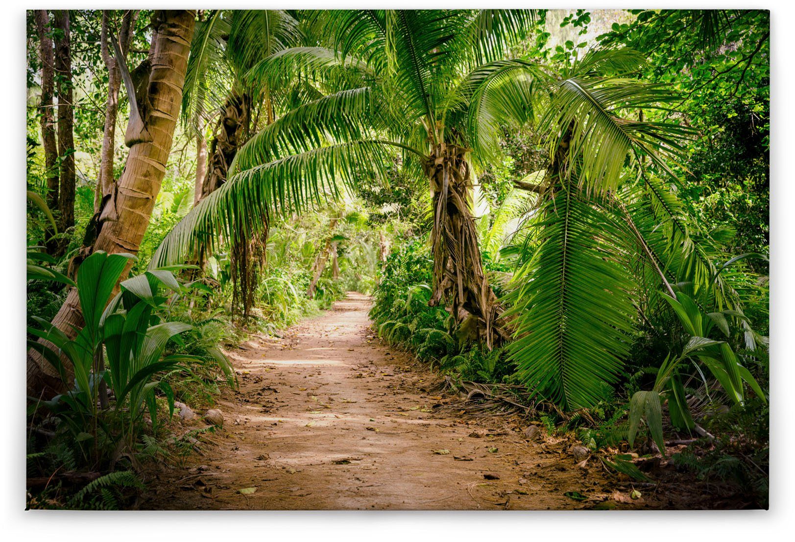 Création Leinwandbild (1 A.S. Walk, Keilrahmen Wald St), Palm Palmen Natur