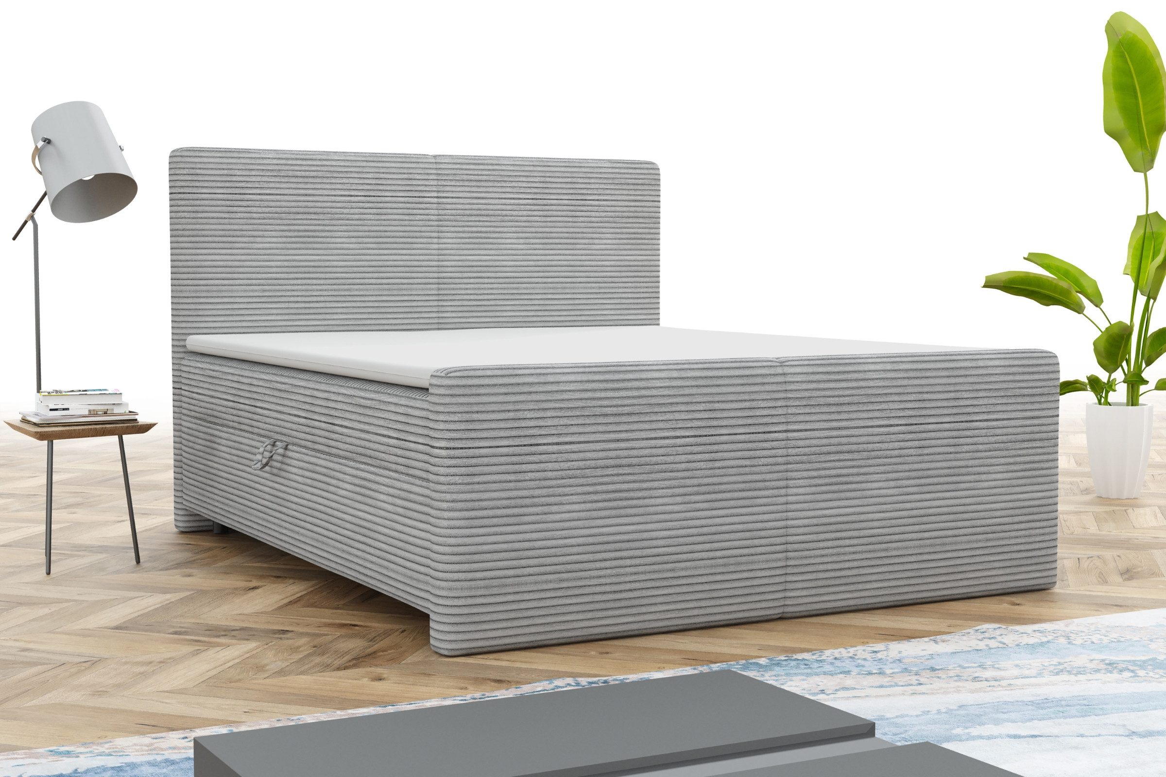 Deine Möbel 24 Boxspringbett MIDI Boxspring günstig online kaufen