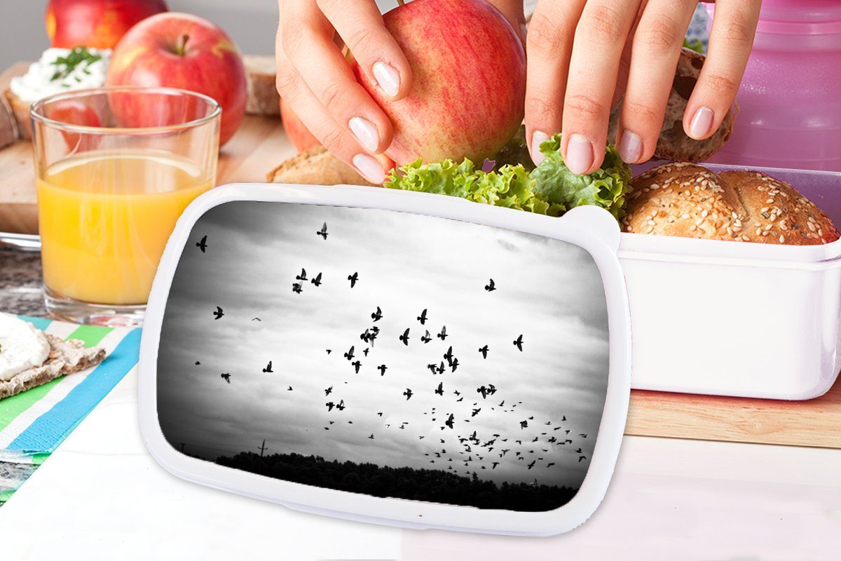 Schwarz - Lunchbox Erwachsene, - Mädchen - Brotbox für - Kinder für MuchoWow Weiß, Wolken und (2-tlg), Vögel Tiere Kunststoff, Brotdose, Jungs und