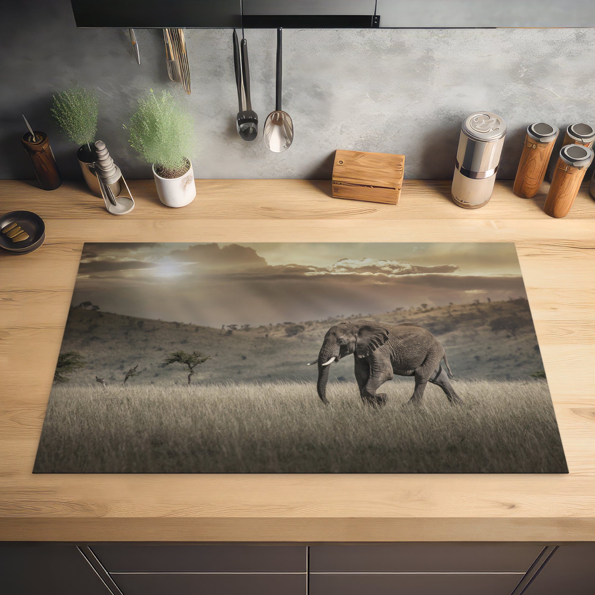 der Masai (1 küche MuchoWow Elefant des Vinyl, cm, Nationalparks Mara Kenia, in Savanne 83x51 tlg), für Arbeitsplatte Herdblende-/Abdeckplatte Ceranfeldabdeckung, in