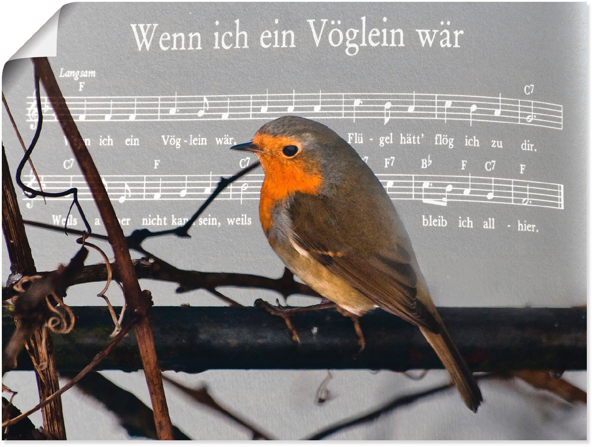 Artland Wandbild »Wenn ich ein Vöglein wär«, Vögel (1 Stück), in vielen