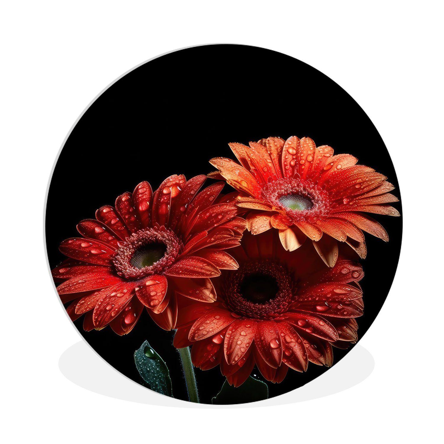 MuchoWow Gerbera Wandbild, Natur, - Blumen (1 Kreis 30x30 Gemälde cm - Wohnzimmer, St), - Wanddekoration Forex, - Botanisch Rot Rundes