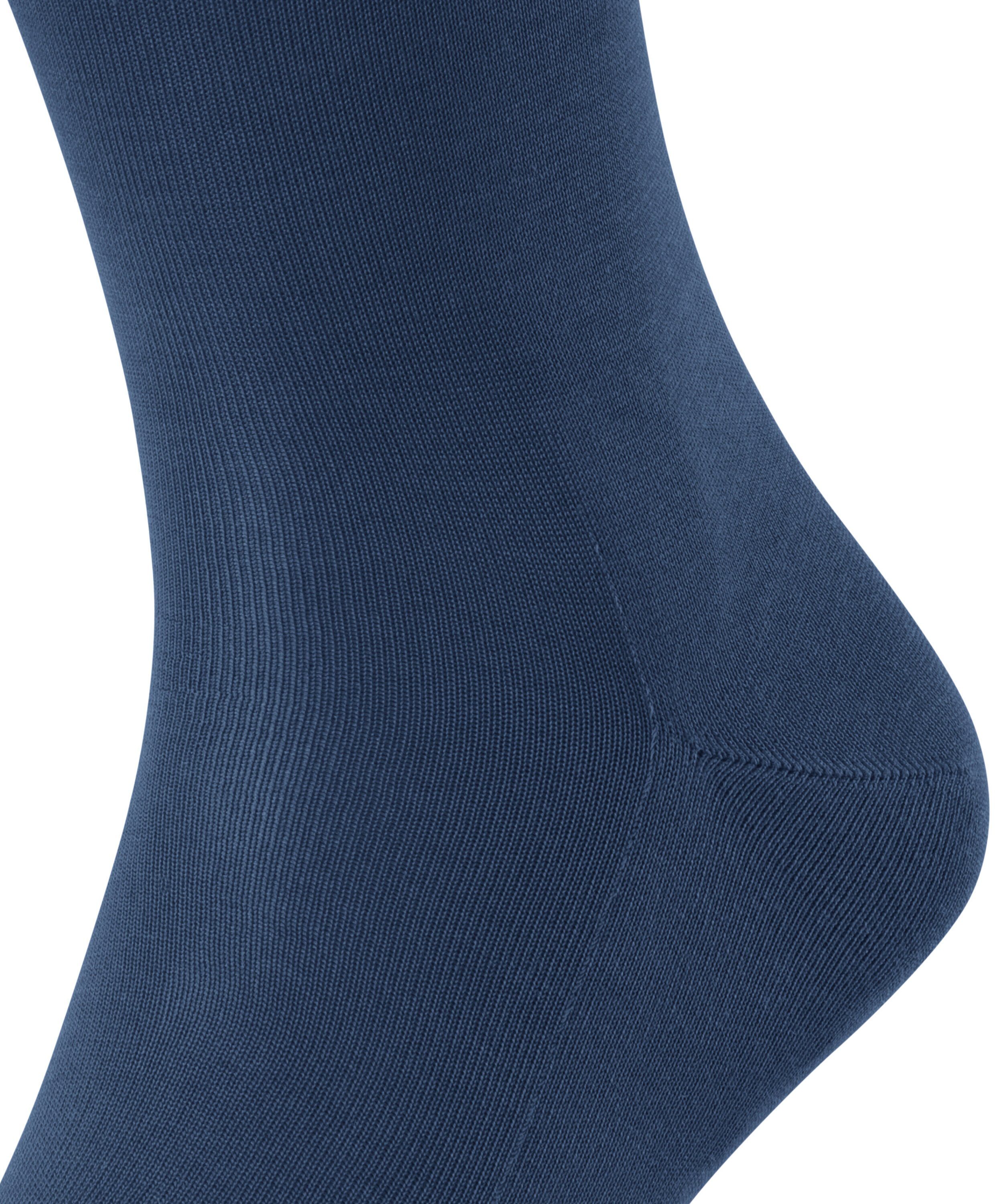 blue royal Tiago FALKE Socken (6000) (1-Paar)
