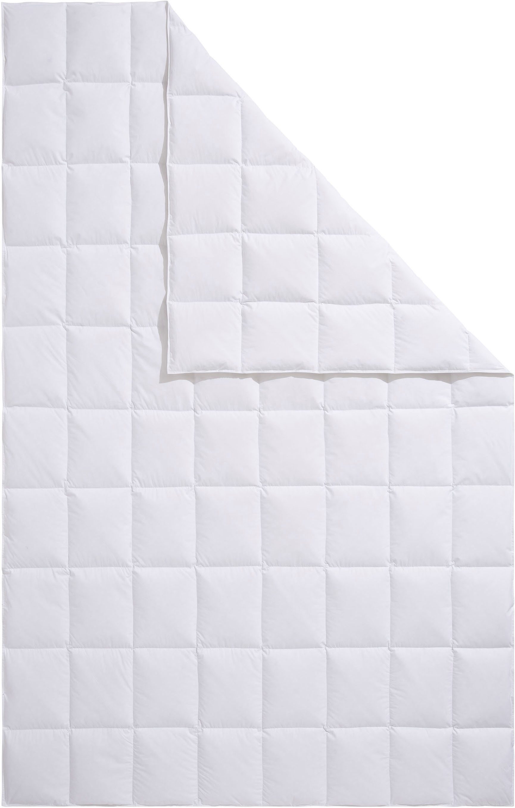OTTO home Daunenbettdecke Köniz, Bettdecke 135x200 cm, 155x220 cm und weitere Größen, Füllung: 60% Daunen, 40% Federn, Bezug: 100% Baumwolle, Bettdecken, Sommer – Bild 2 von 5