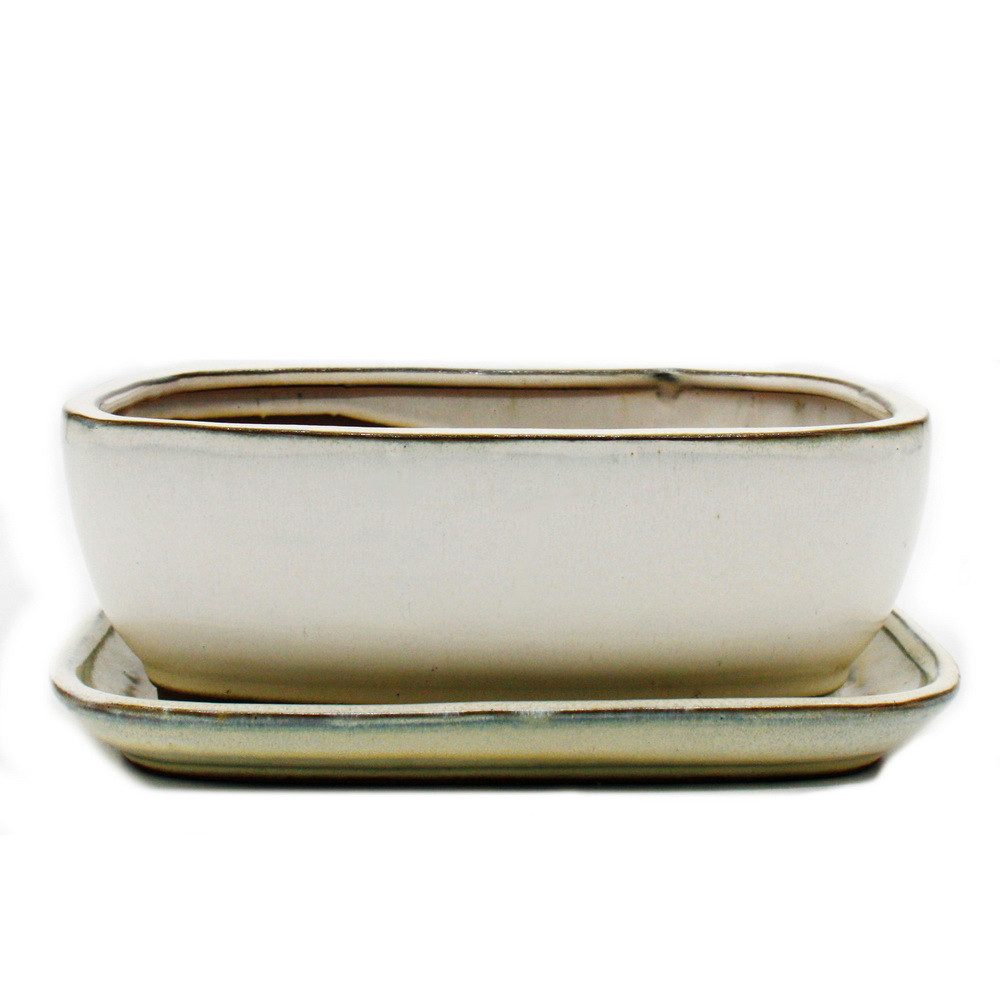 Exotenherz Pflanzschale Bonsai-Schale Unterteller Gr. 4 Hellbeige rechteckig Modell GB5 L 26cm