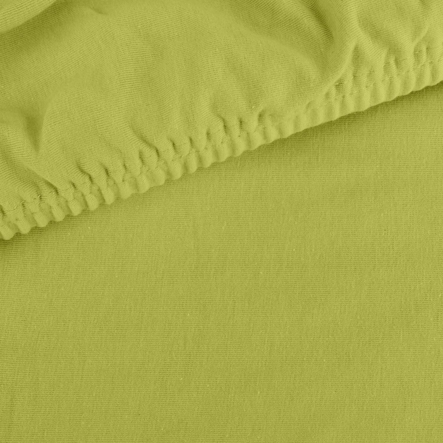 Traumschloss Spannbettlaken Premium Plus, Jersey, Gummizug: günstig online kaufen