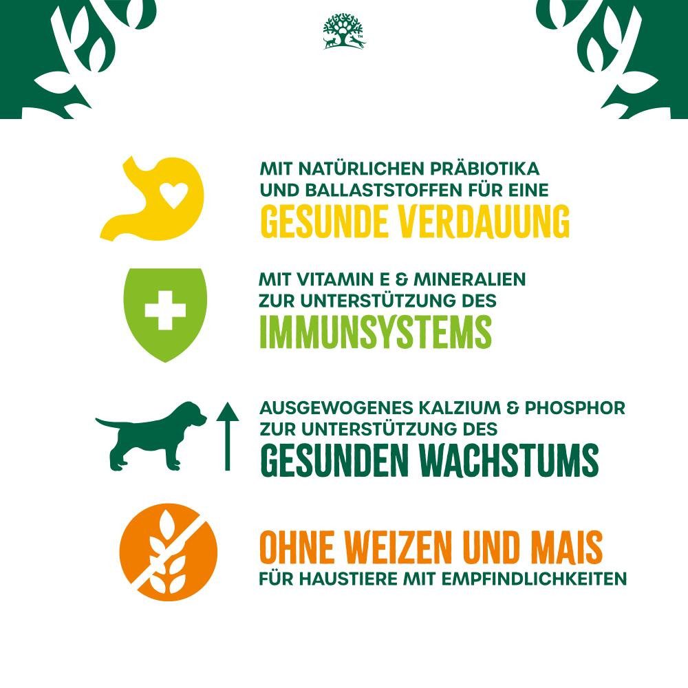 James Wellbeloved JAMES WELLBELOVED™ Hund Junior Truthahn & Reis 12kg, Trockenfutter für: Hunde