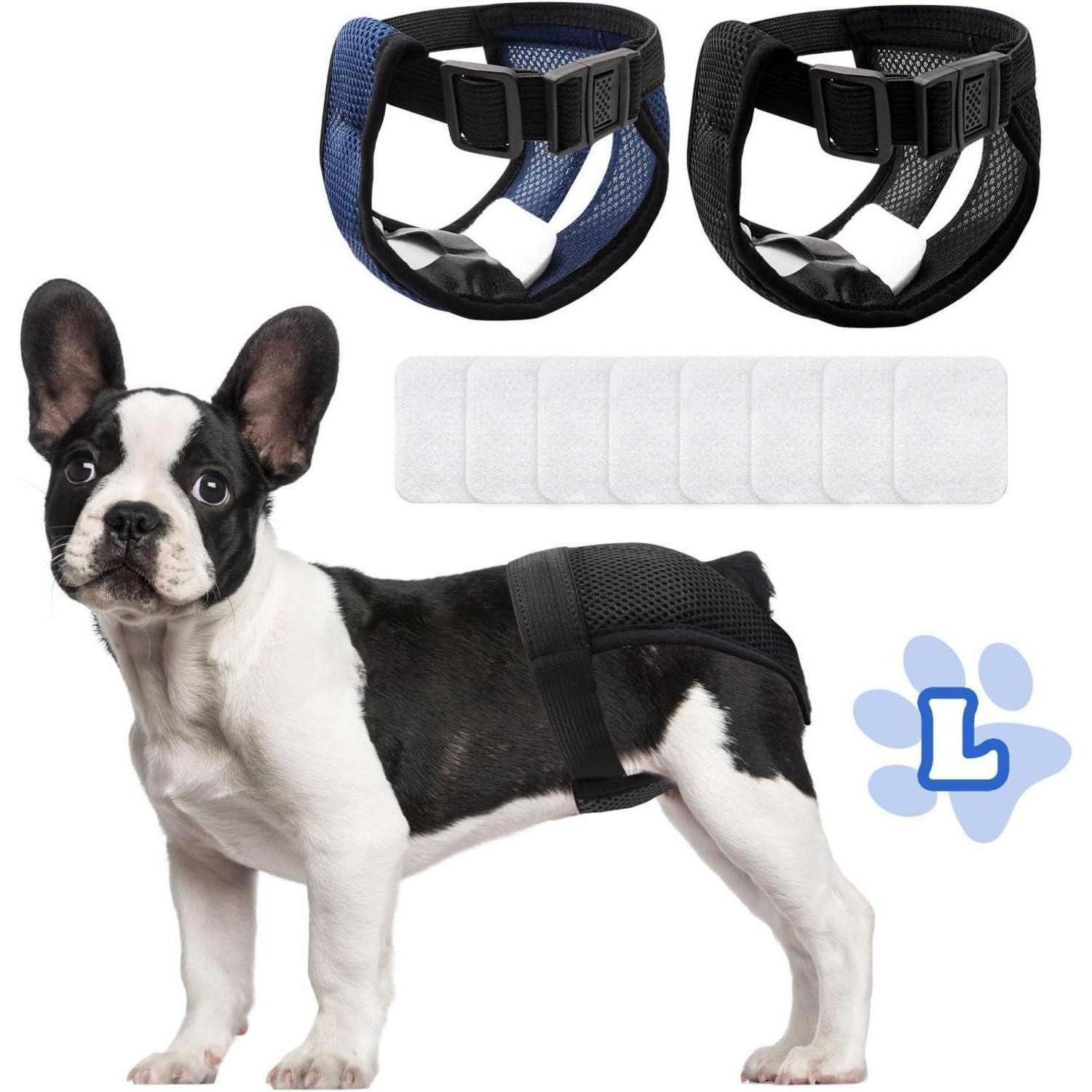 LuxusKollektion Hundewindel Hundewindeln 2er Pack Wiederverwendbare Läufigkeitshose Damenbinden